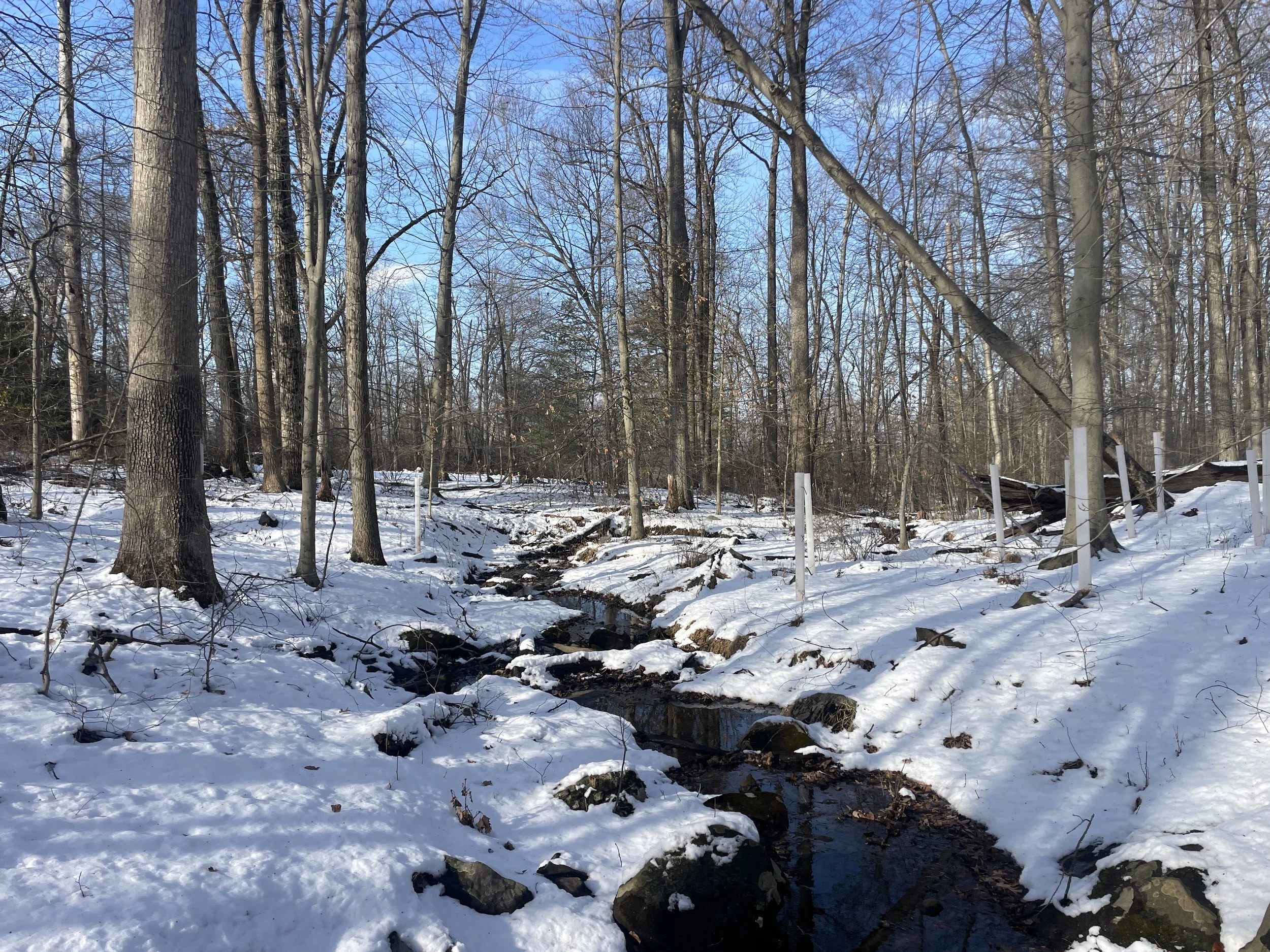 Photo courtesy of Brian Kane