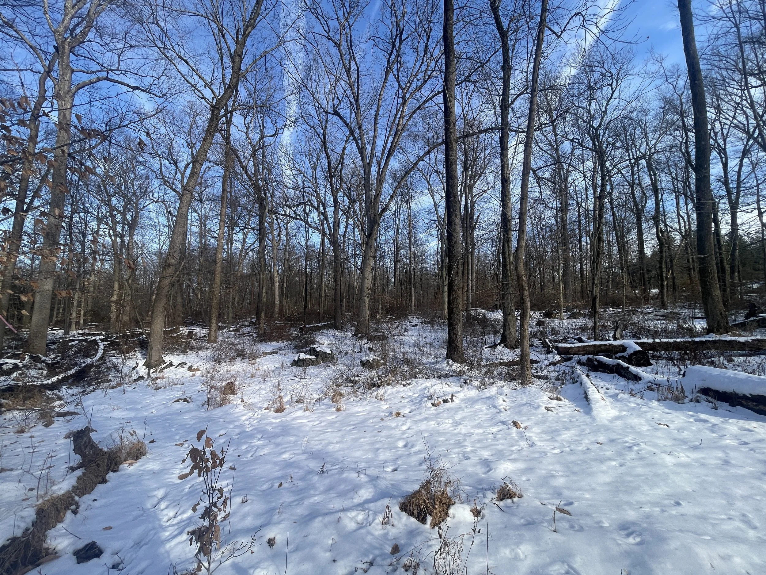 Photo courtesy of Brian Kane