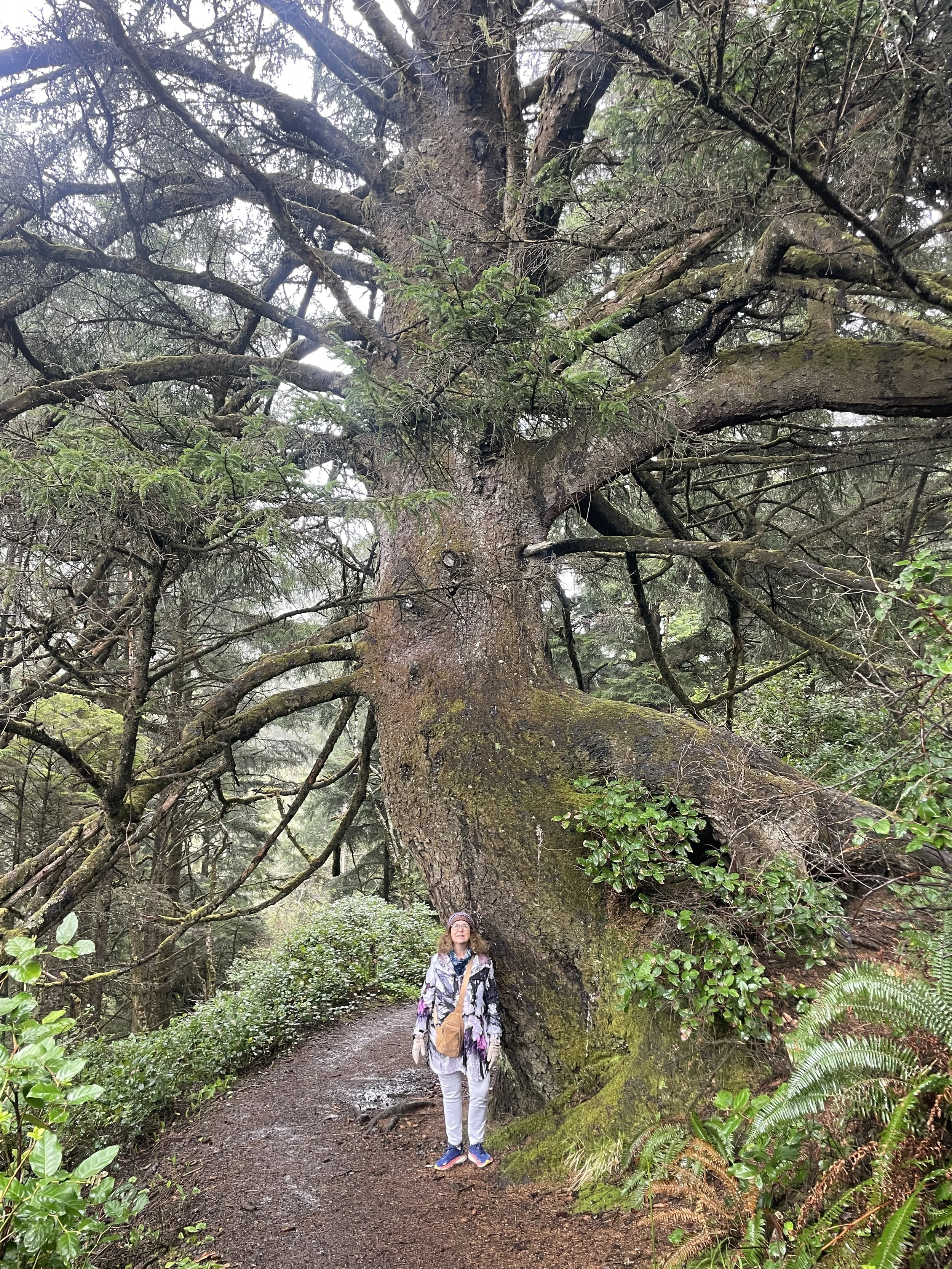 Photo courtesy of Brian Kane