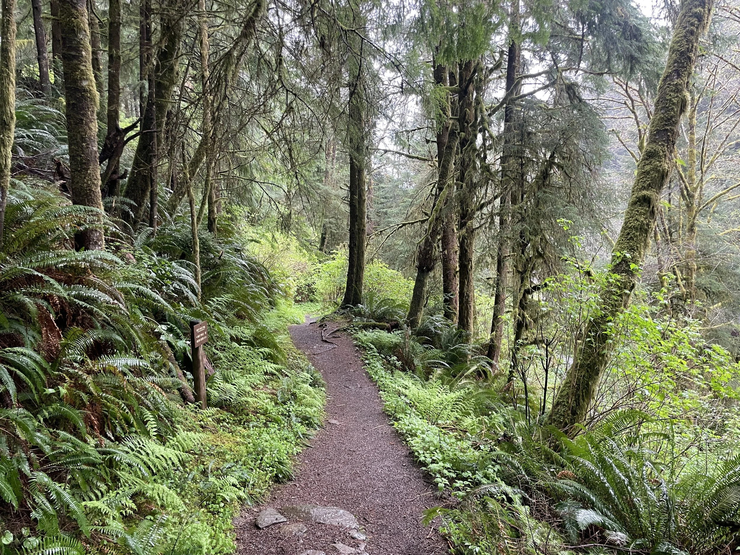 Photo courtesy of Brian Kane