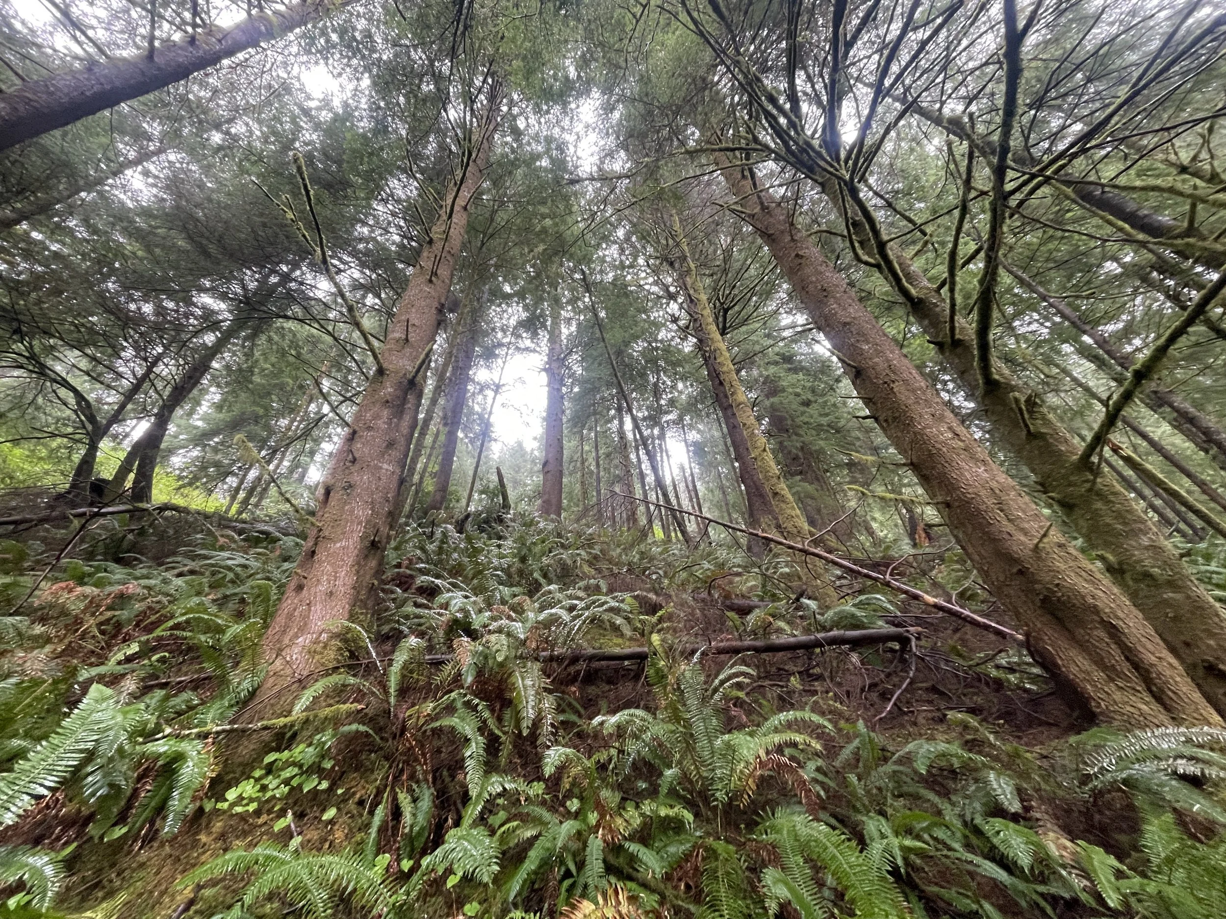 Photo courtesy of Brian Kane