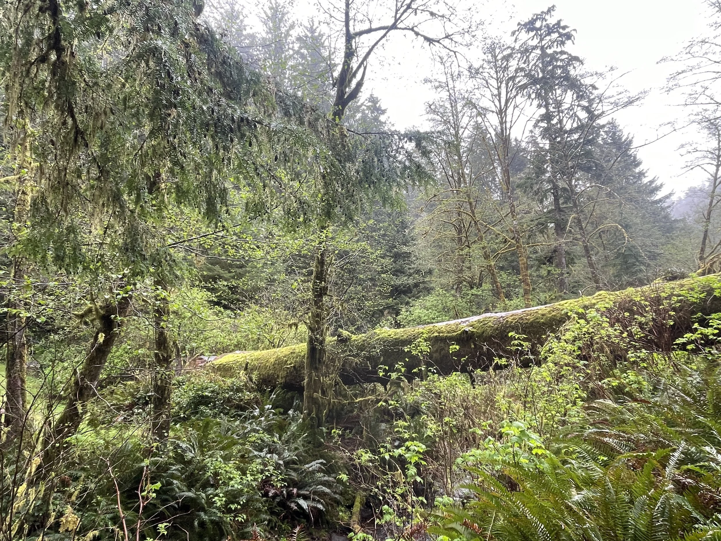 Photo courtesy of Brian Kane