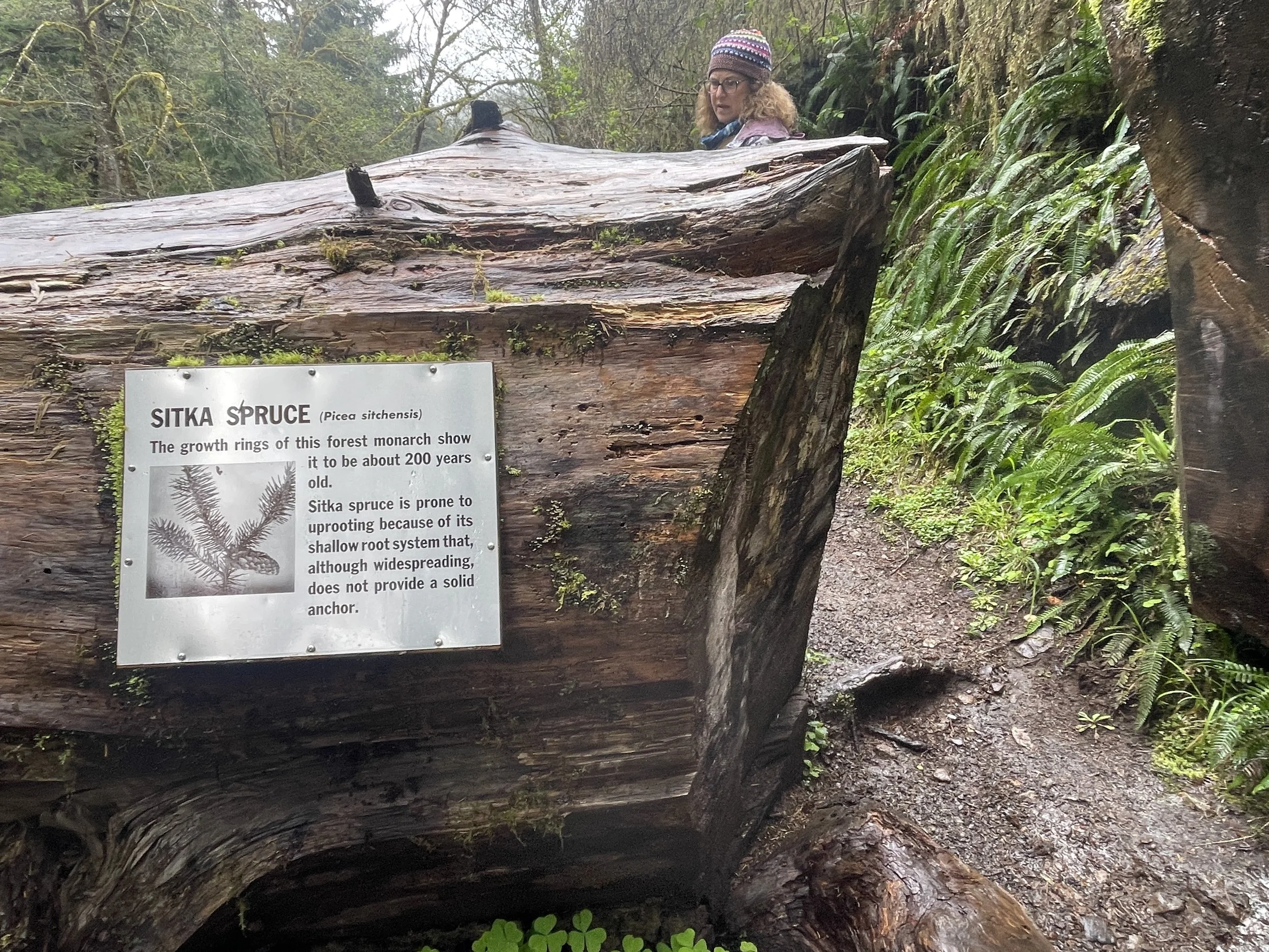 Photo courtesy of Brian Kane