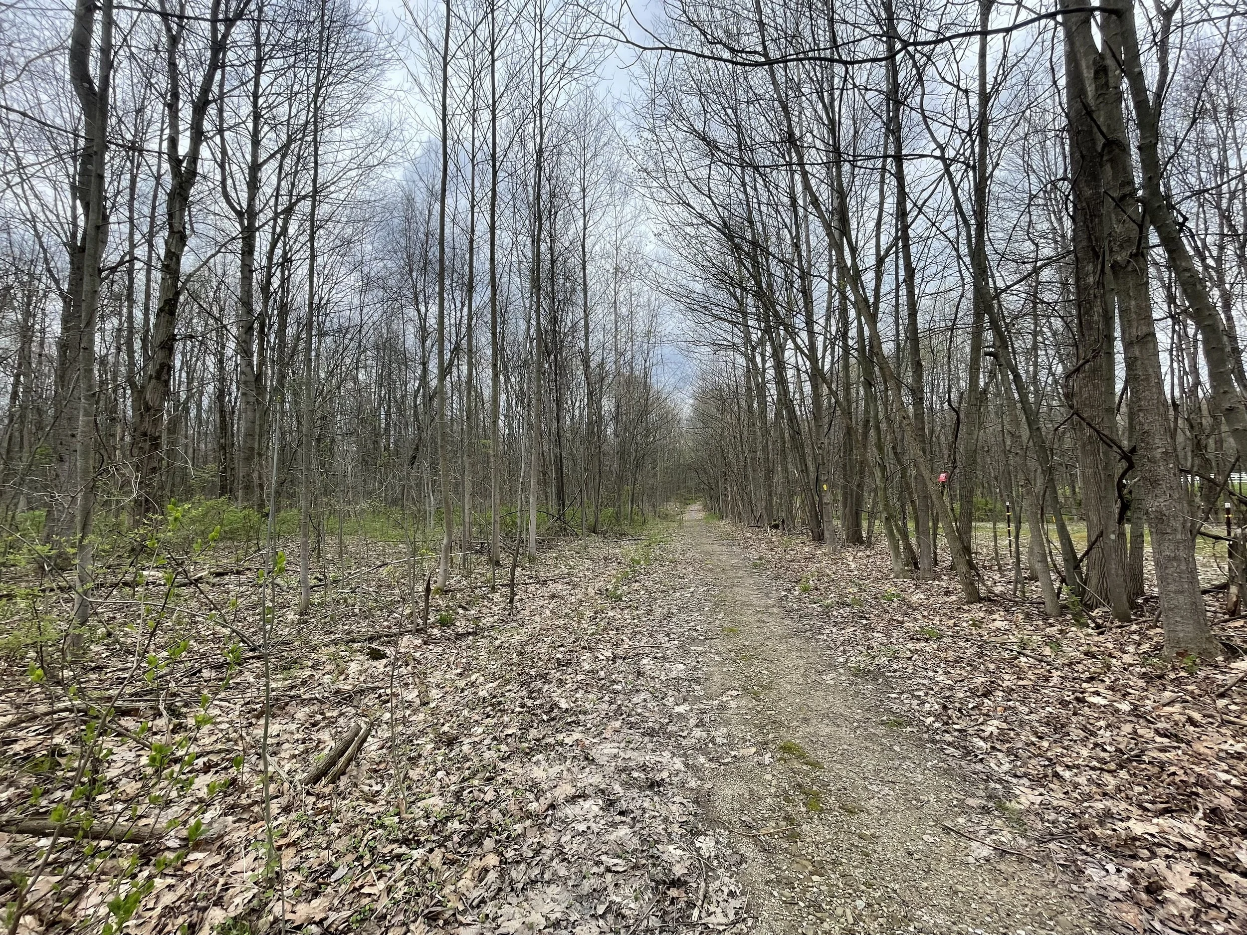 Photo courtesy of Lydia Laythe