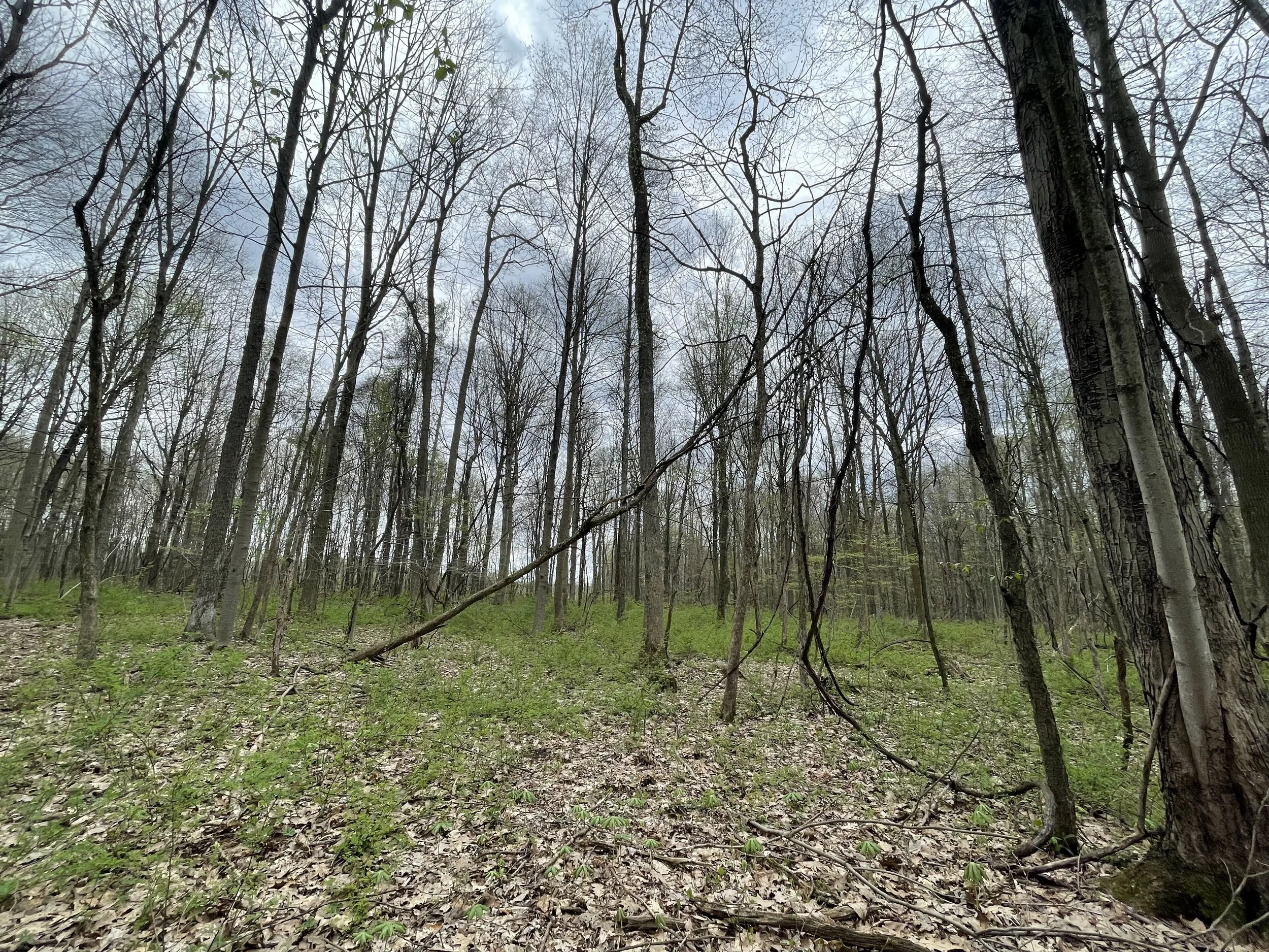 Photo courtesy of Lydia Laythe