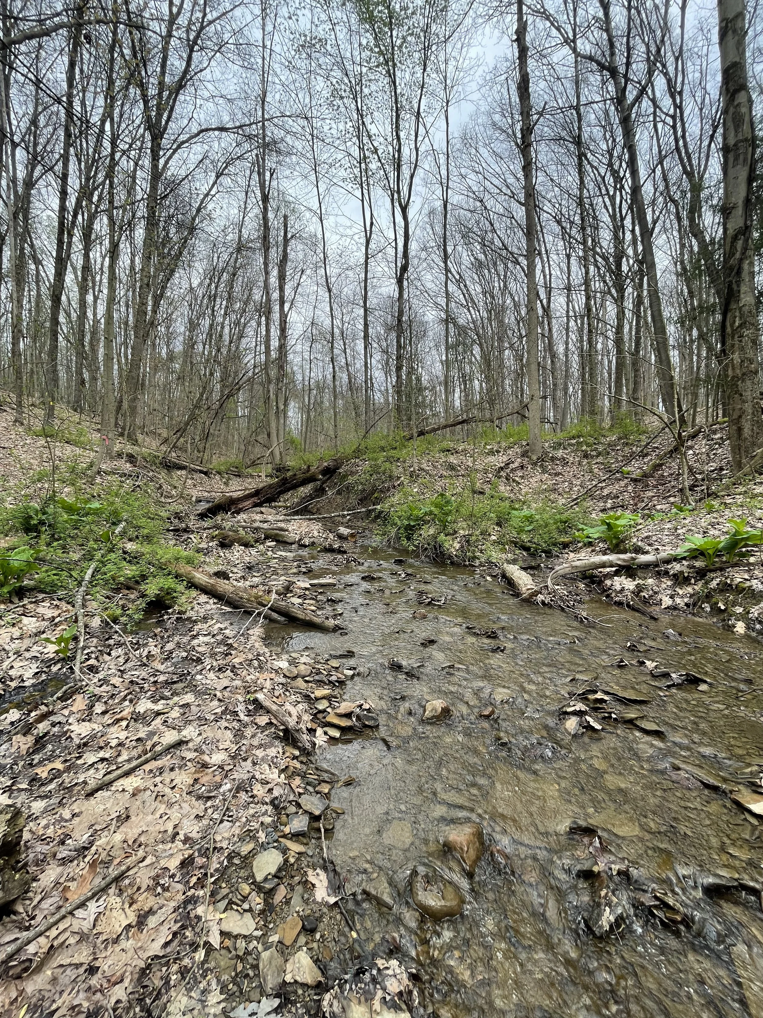 Photo courtesy of Lydia Laythe