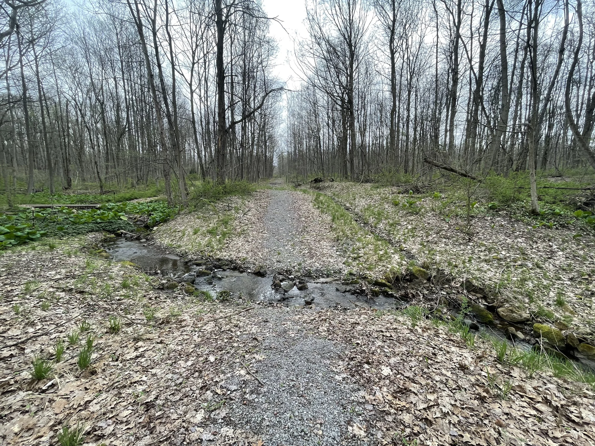 Photo courtesy of Lydia Laythe