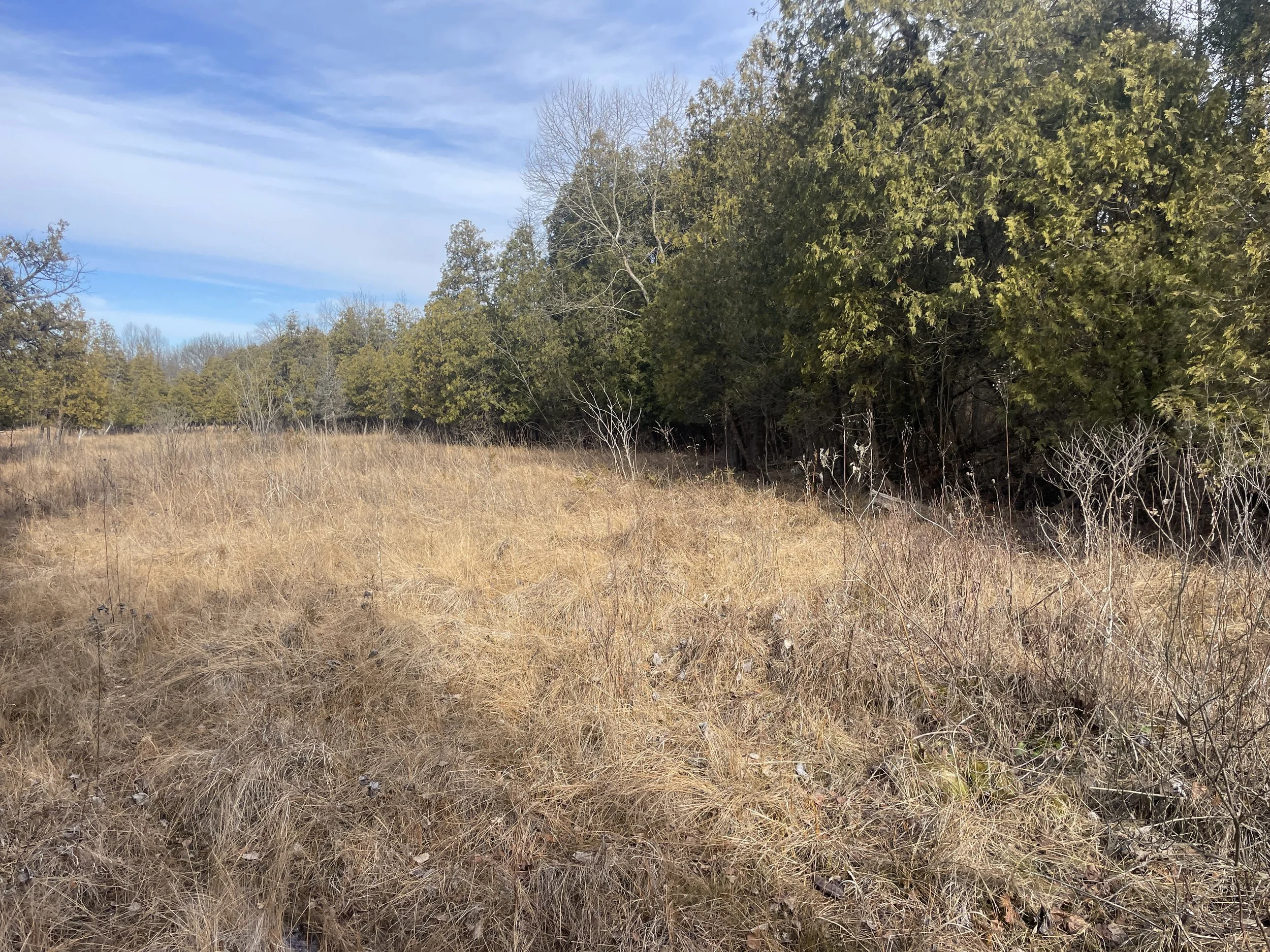 Photo courtesy of Brian Kane