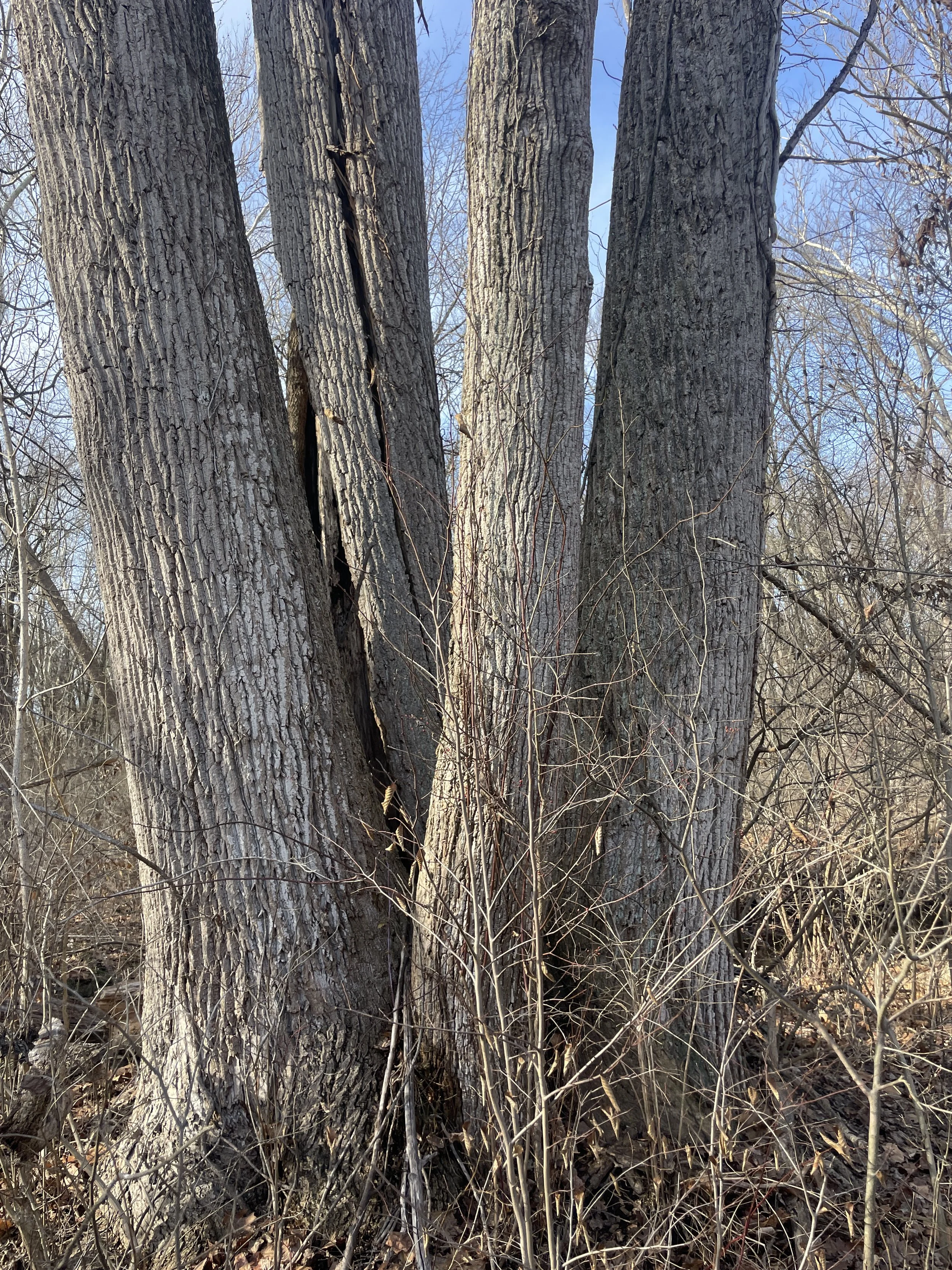 Photo courtesy of Brian Kane