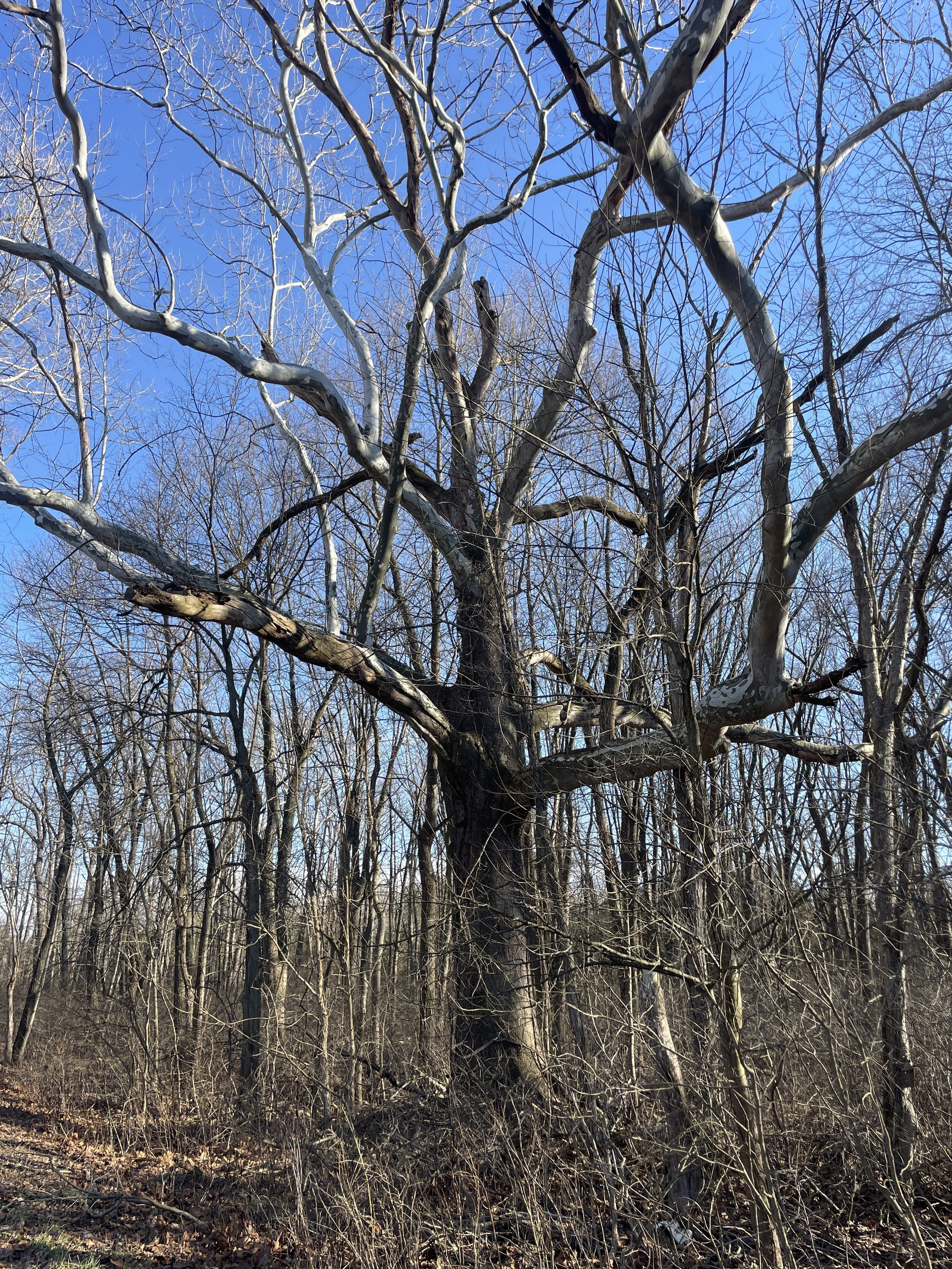 Photo courtesy of Brian Kane