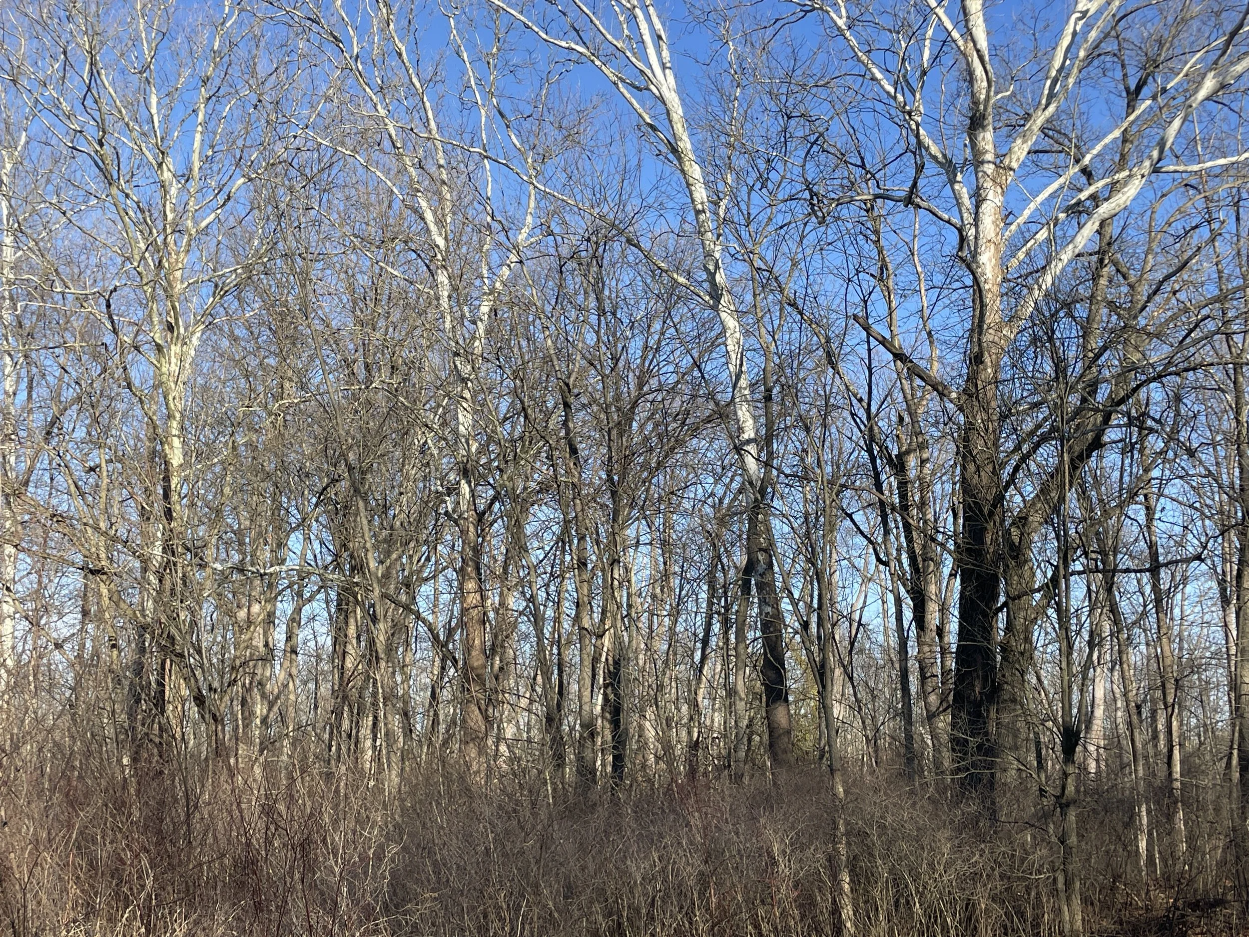 Photo courtesy of Brian Kane