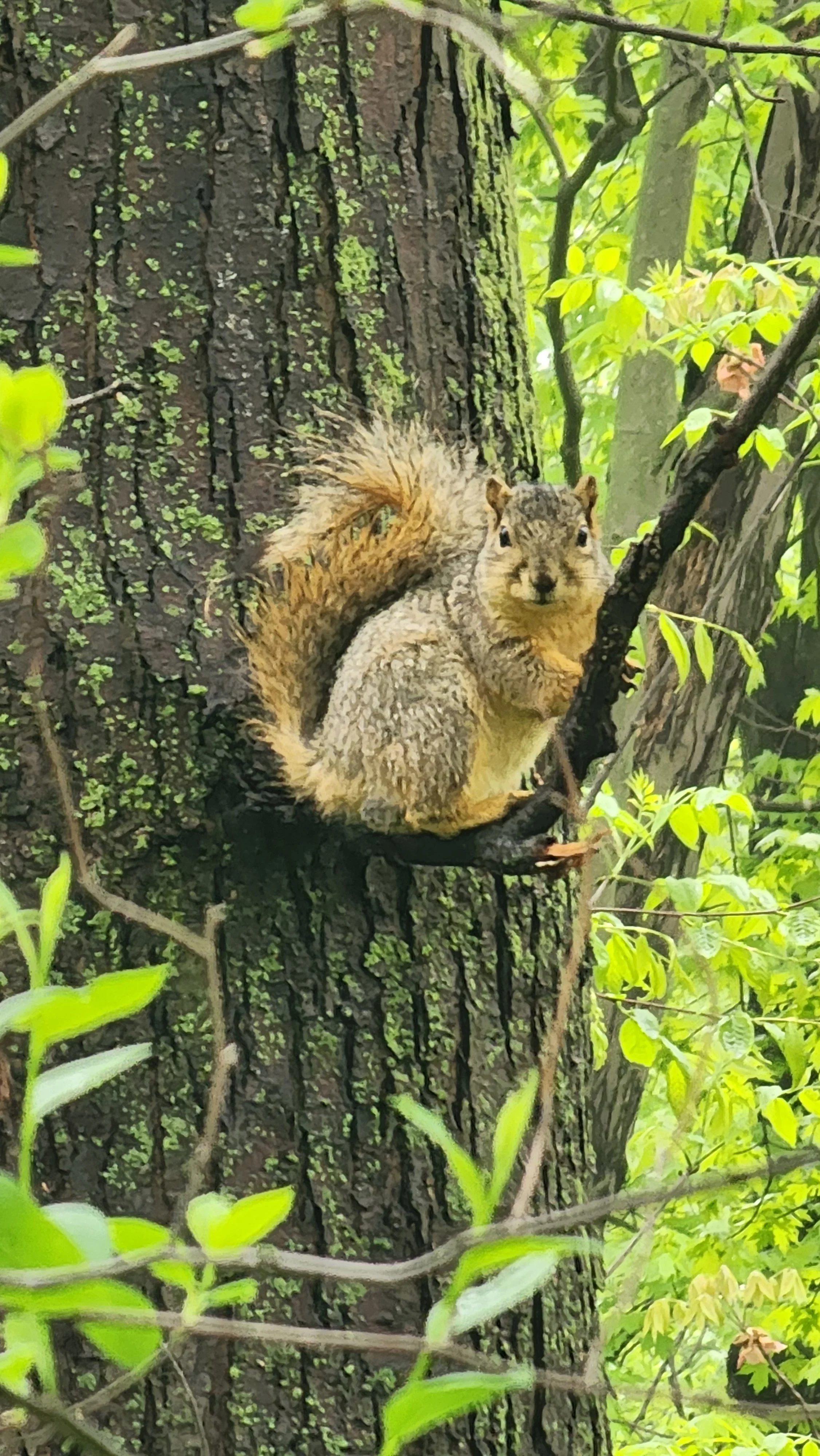 Photo courtesy of Zuri Carter