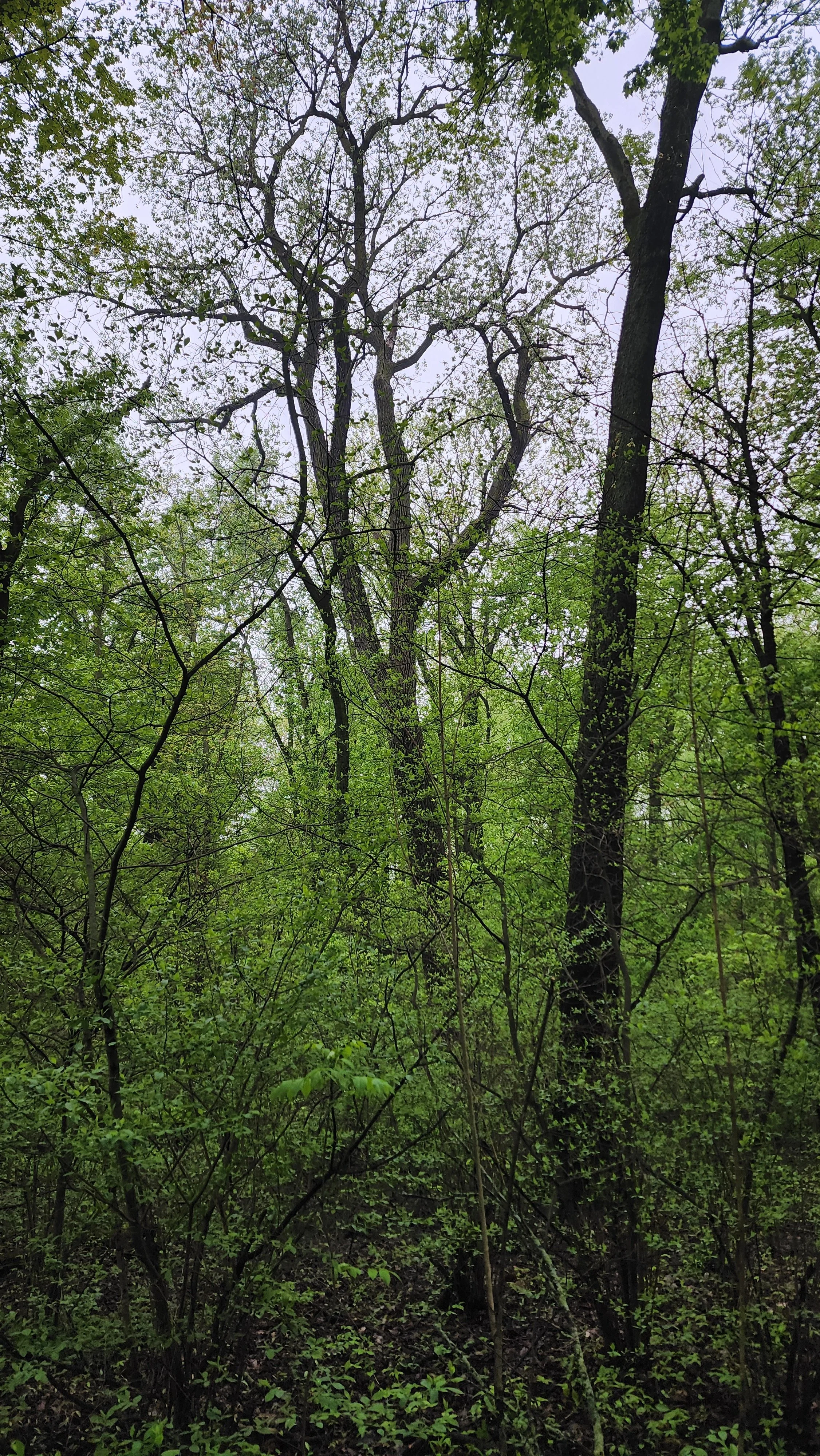 Photo courtesy of Zuri Carter