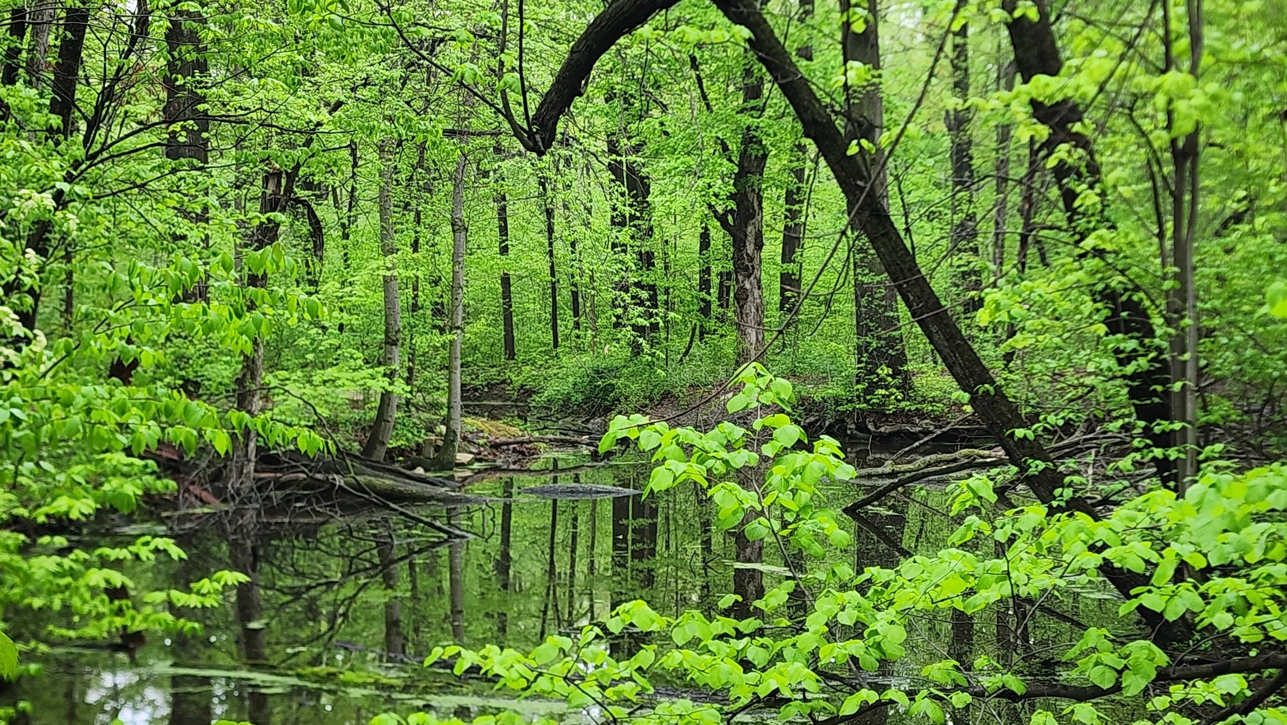 Photo courtesy of Zuri Carter