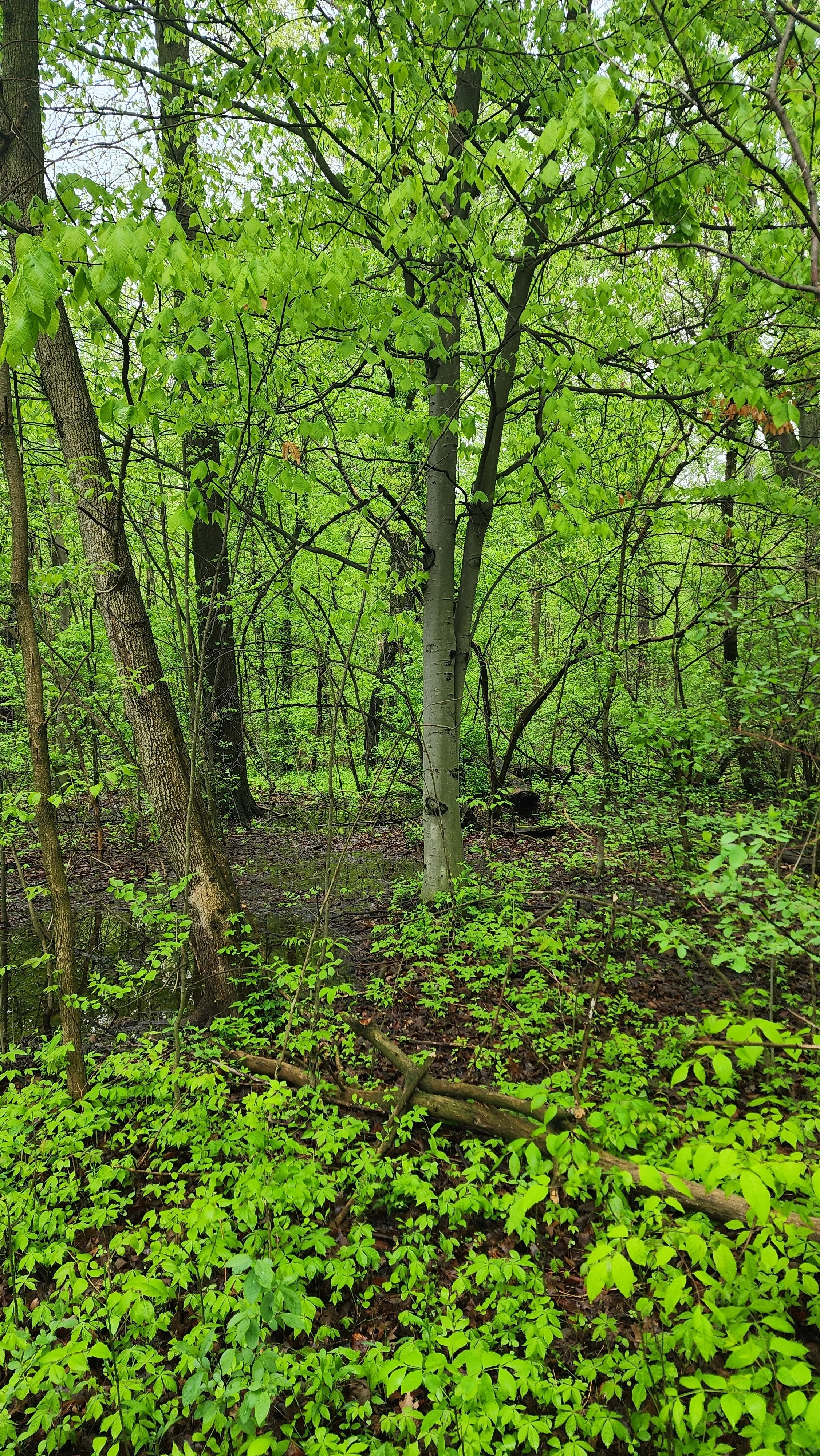 Photo courtesy of Zuri Carter