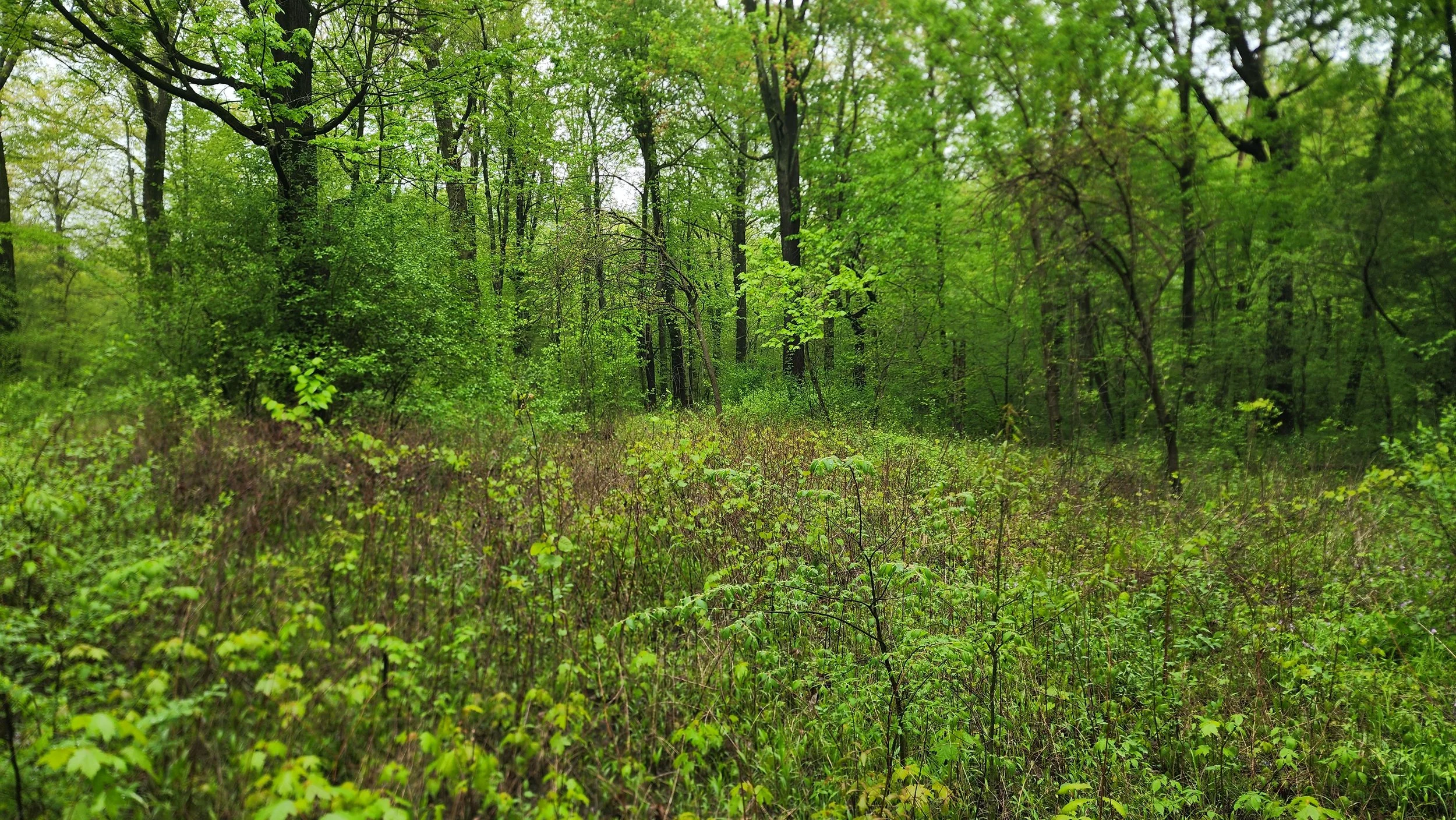 Photo courtesy of Zuri Carter