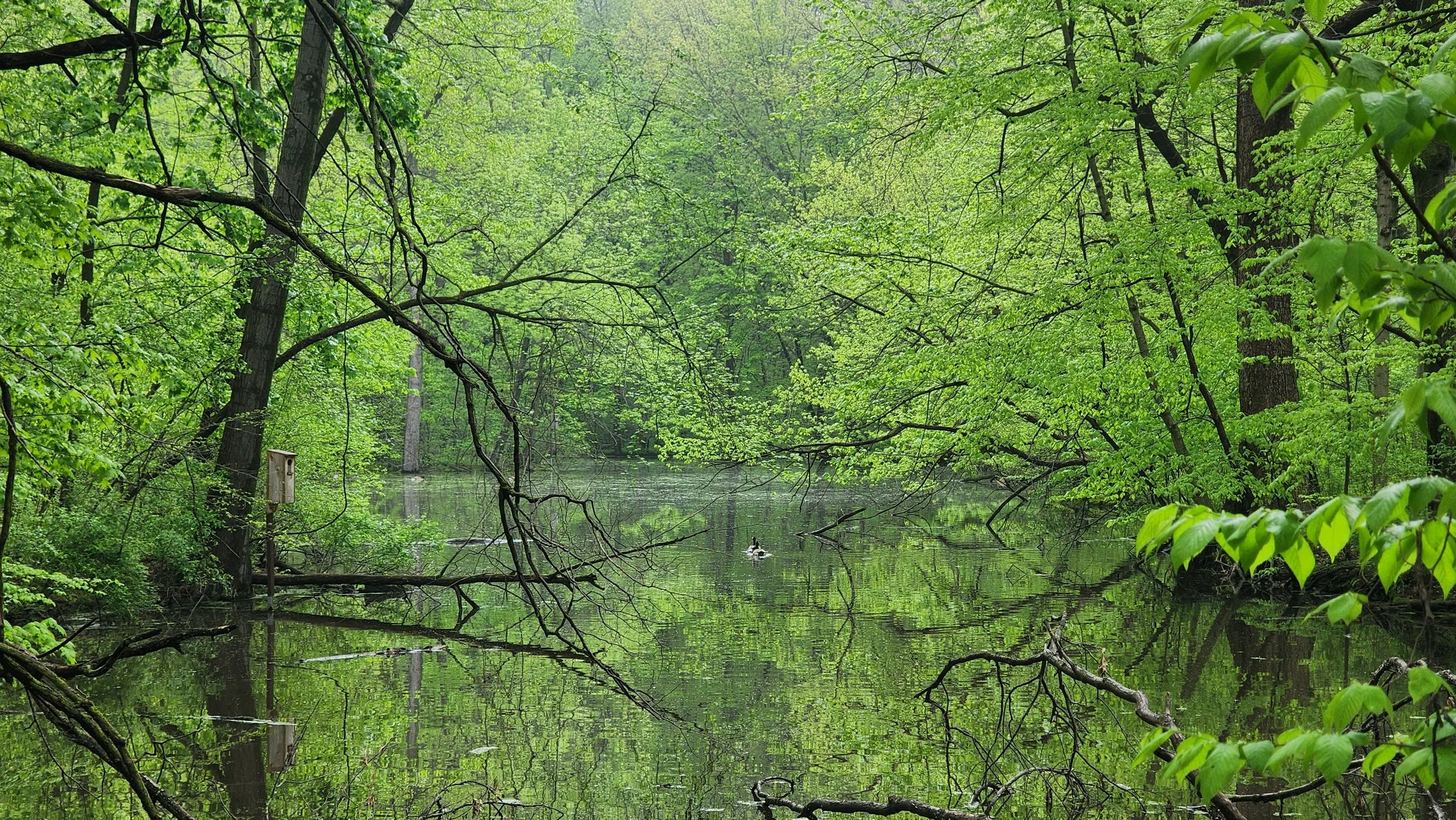 Photo courtesy of Zuri Carter