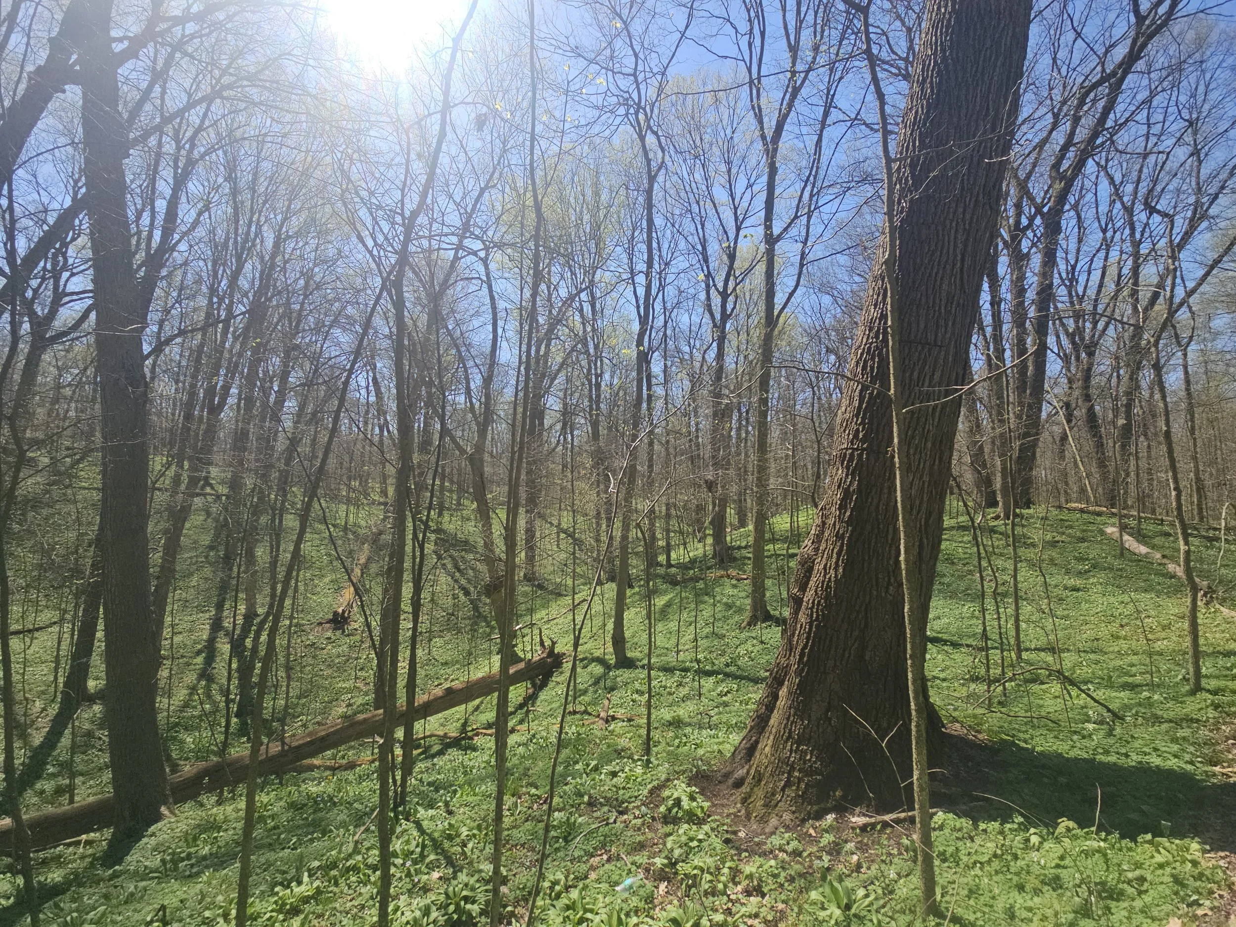 Photo courtesy of Leona Addie