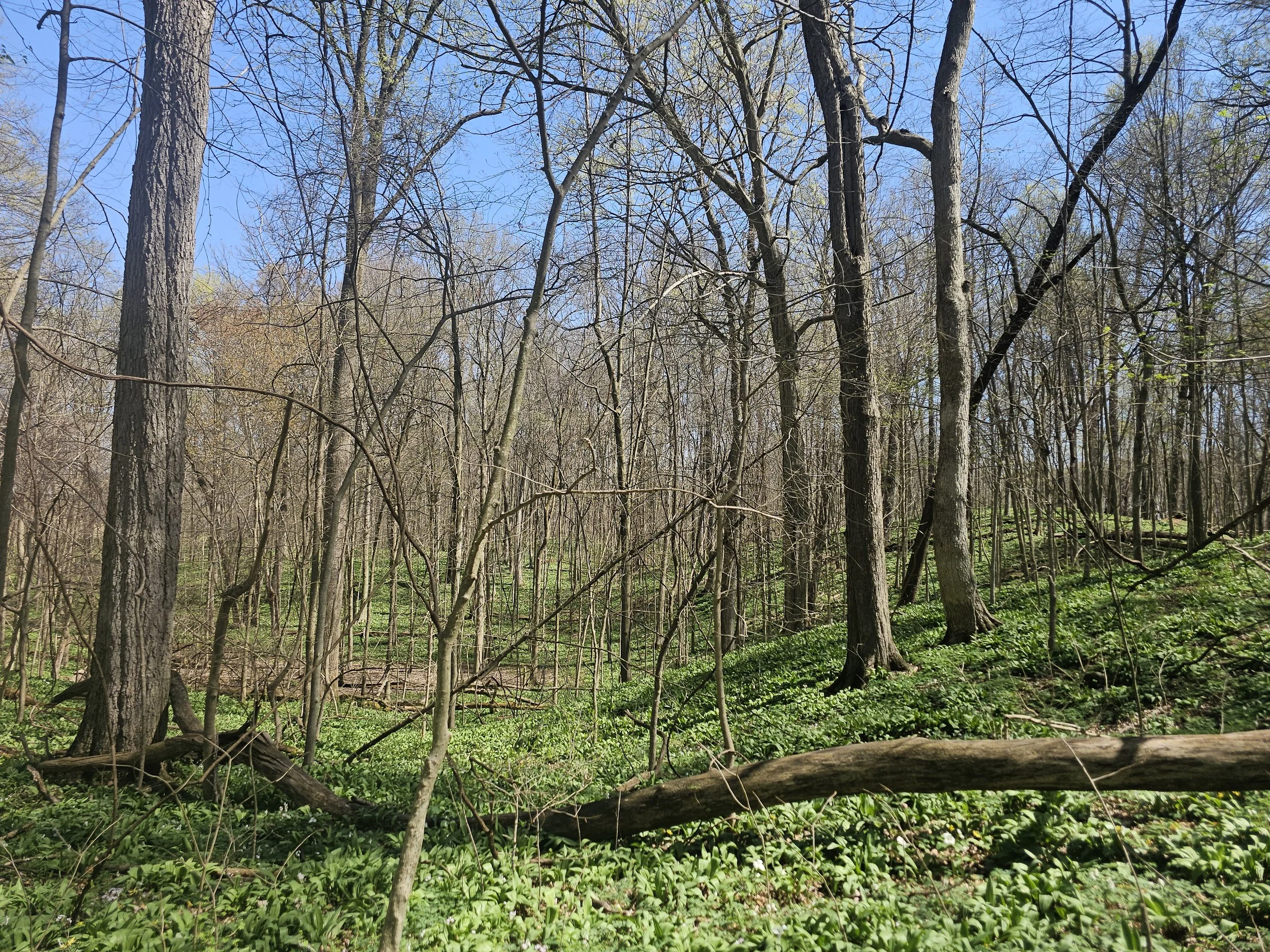 Photo courtesy of Leona Addie