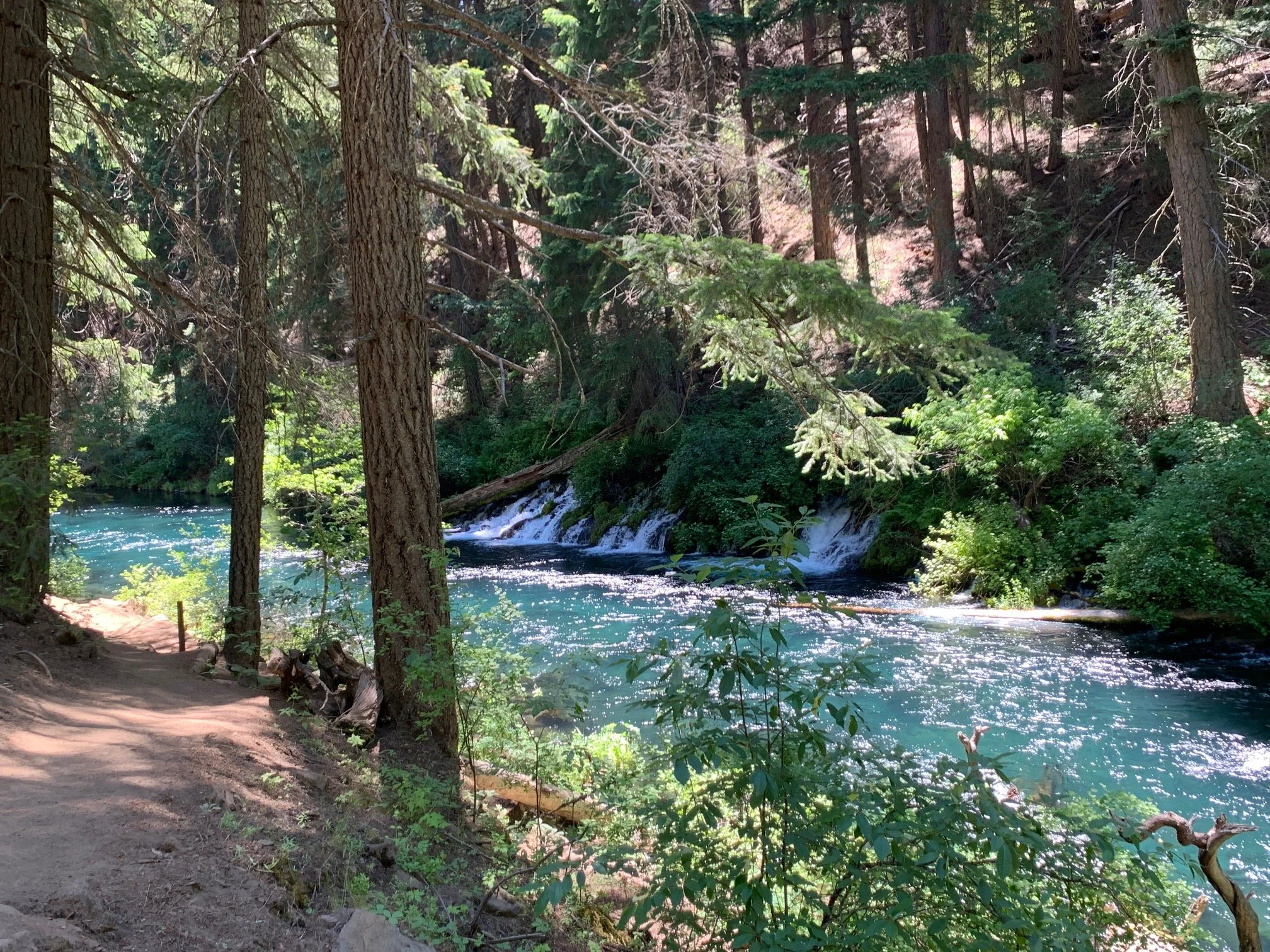 Photo courtesy of Sami Godlove