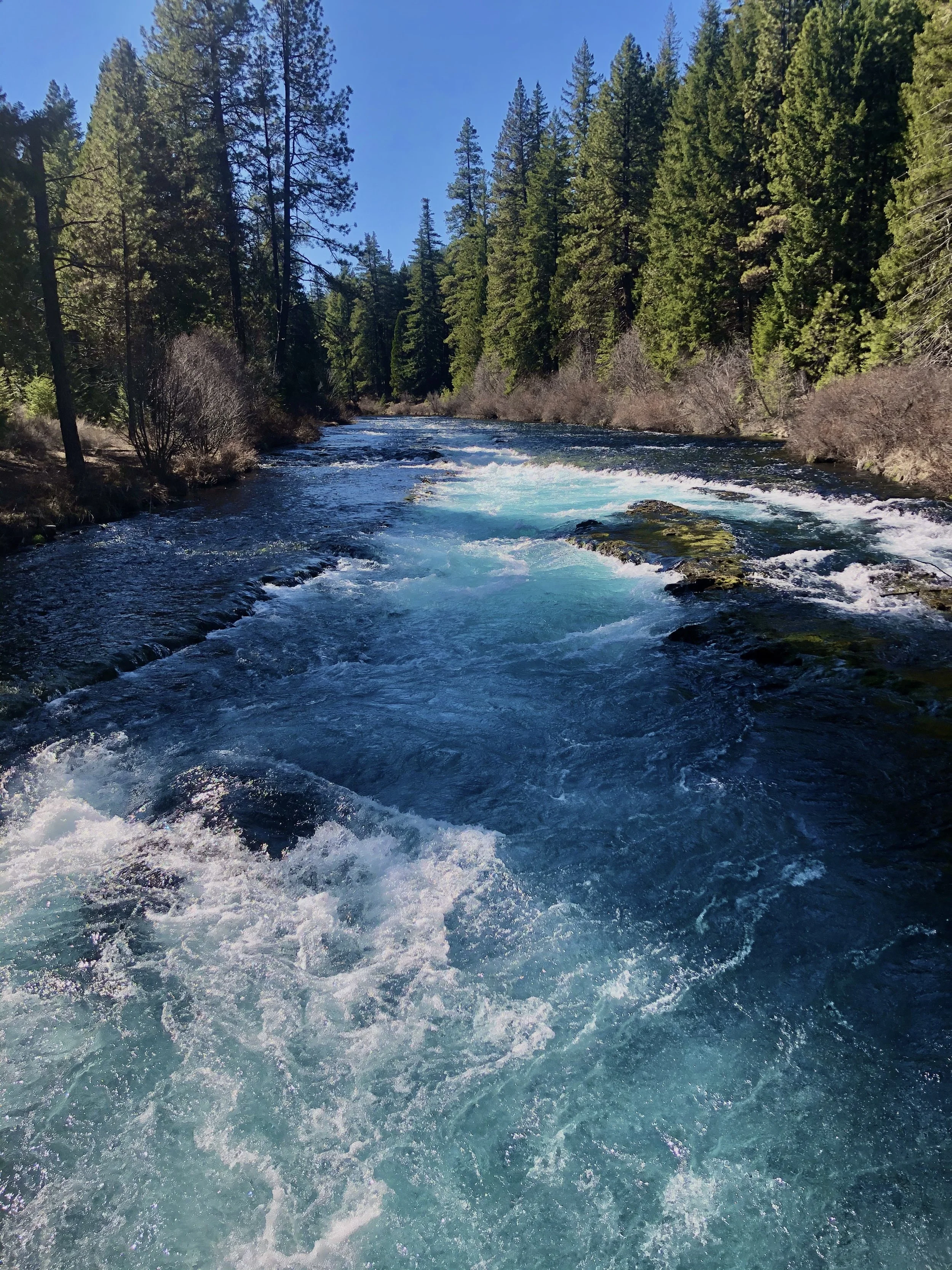 Photo courtesy of Sami Godlove