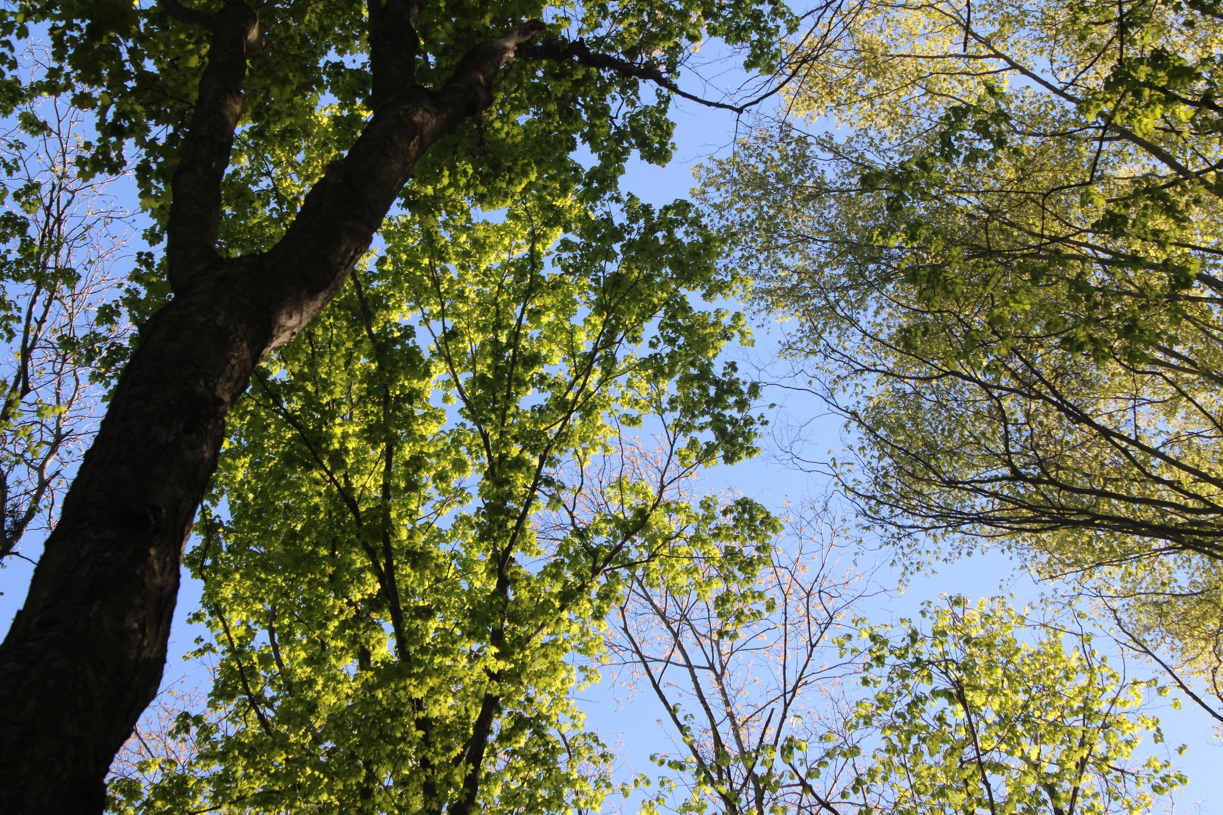 Photo courtesy of Kent County Parks