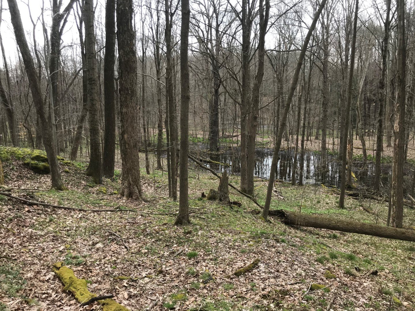Photo courtesy of Western Pennsylvania Conservancy