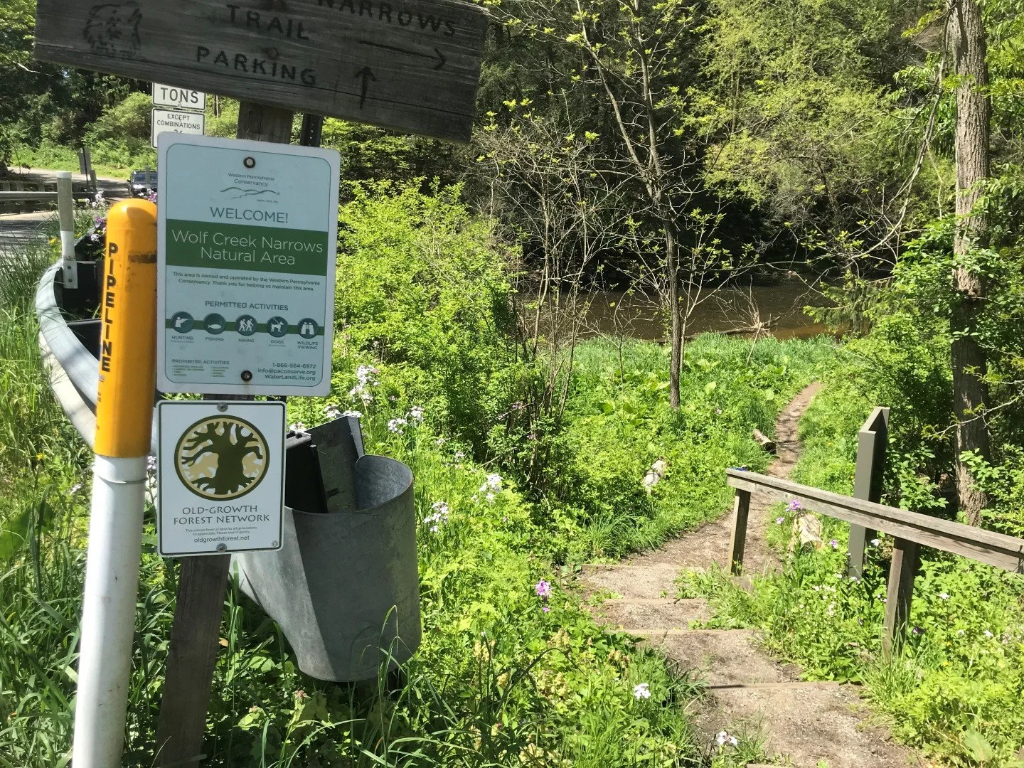 Photo courtesy of Western Pennsylvania Conservancy