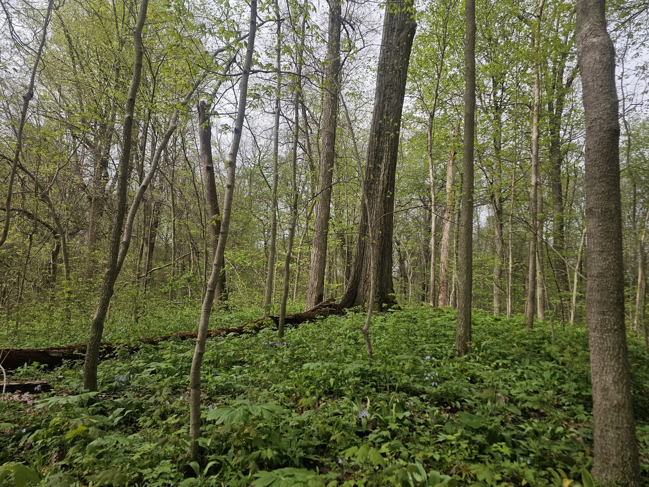 20260425_105759.jpg