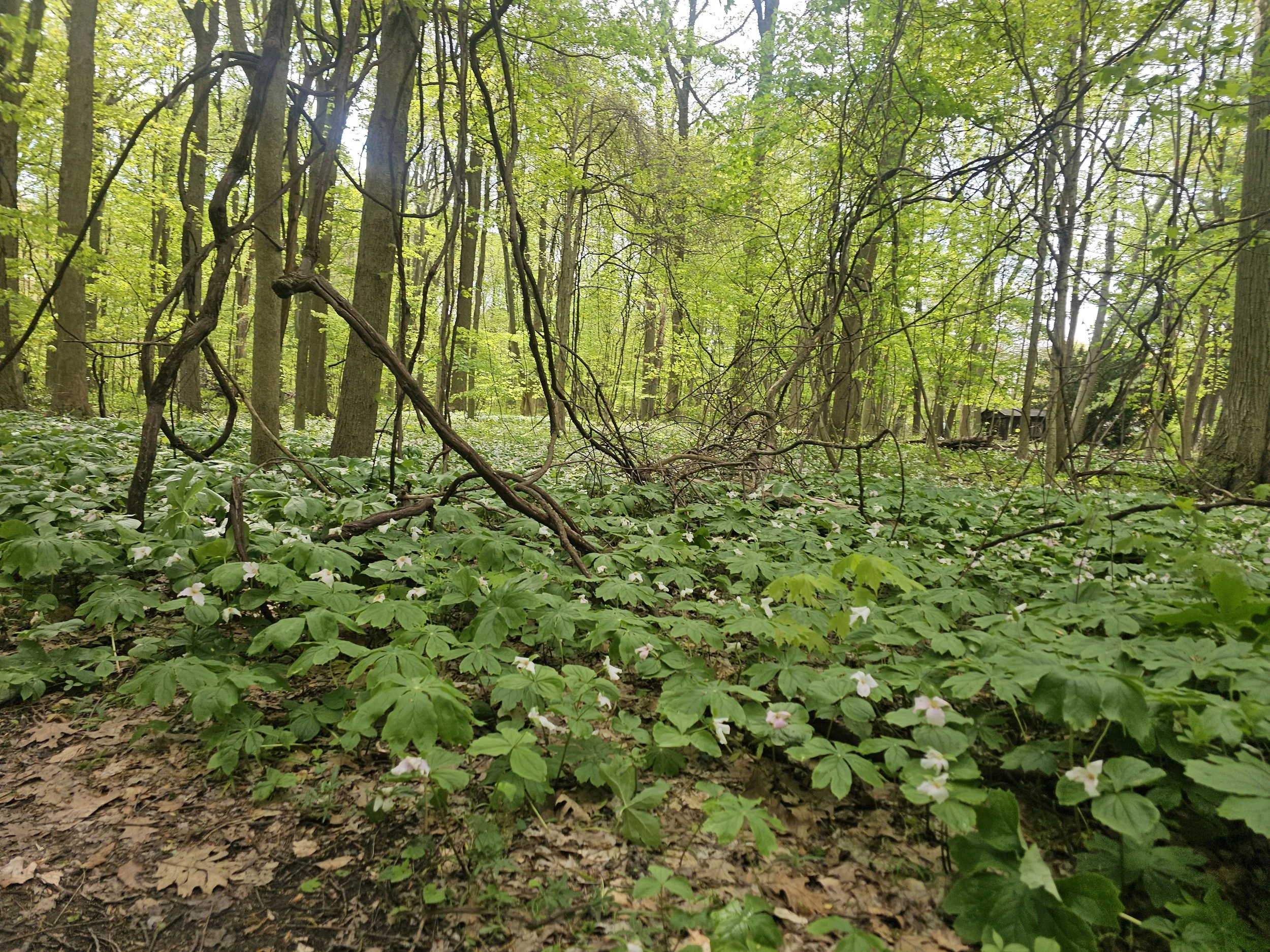 20260503_153316.jpg
