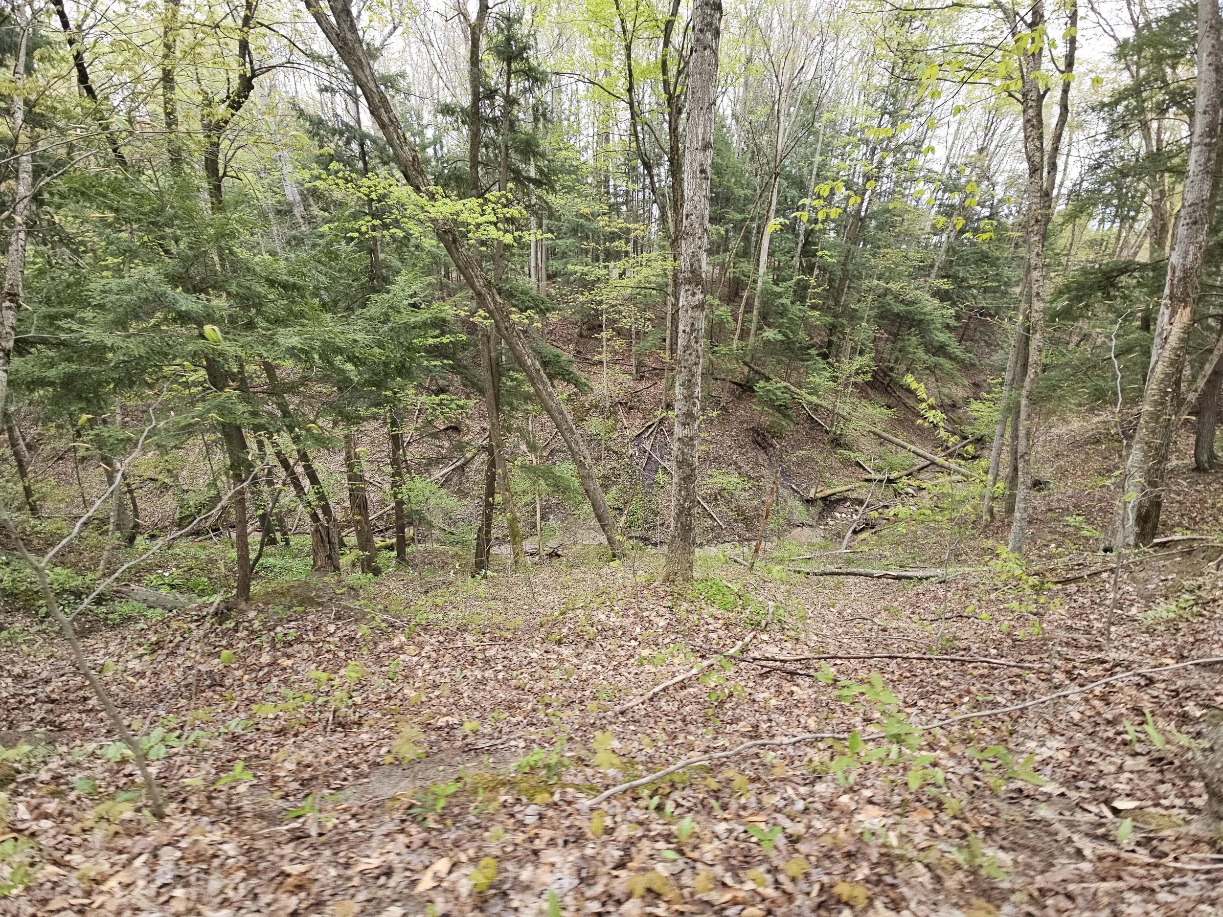 20260515_102827.jpg
