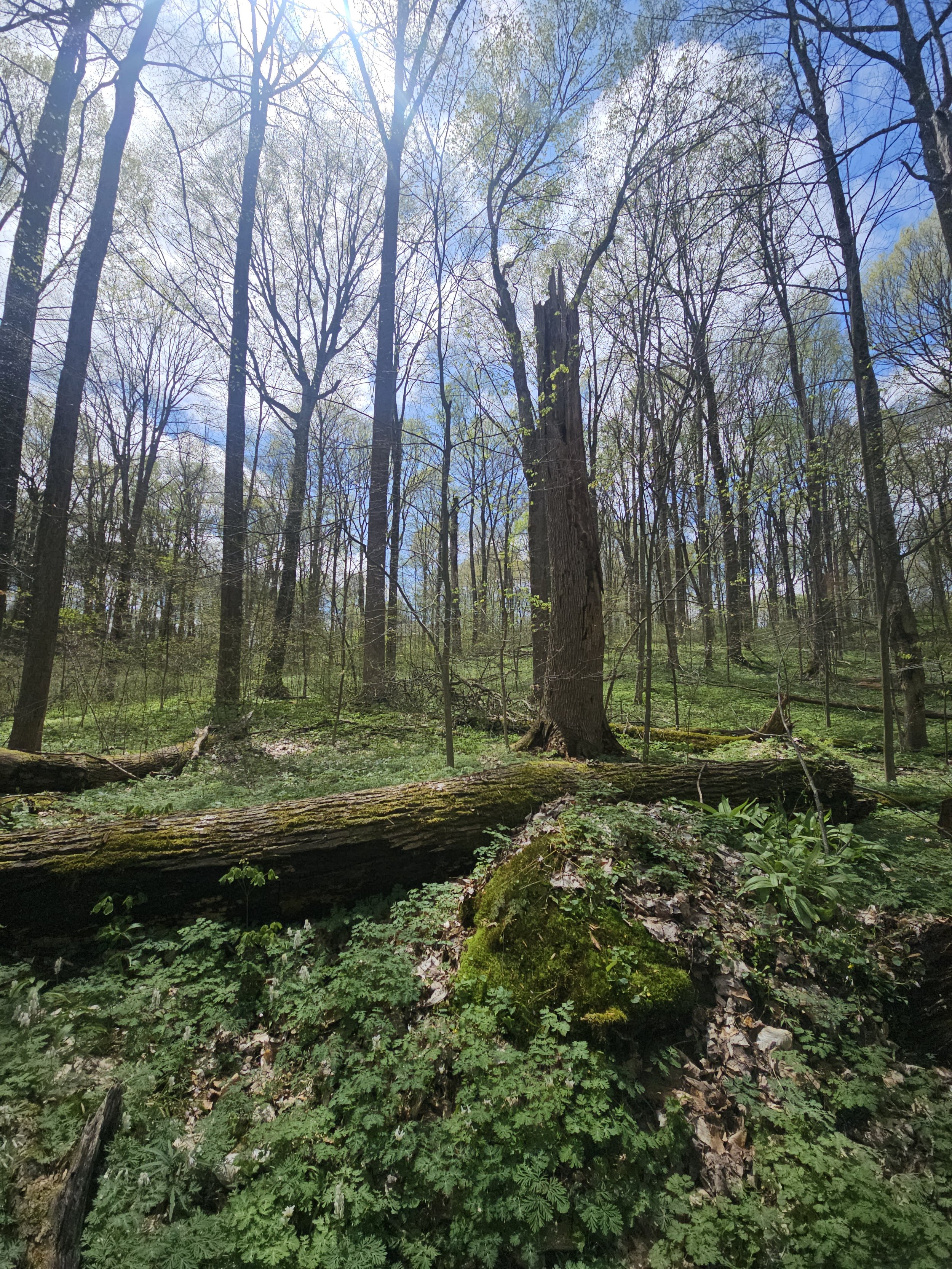 Copy of 20250426_135711.jpg