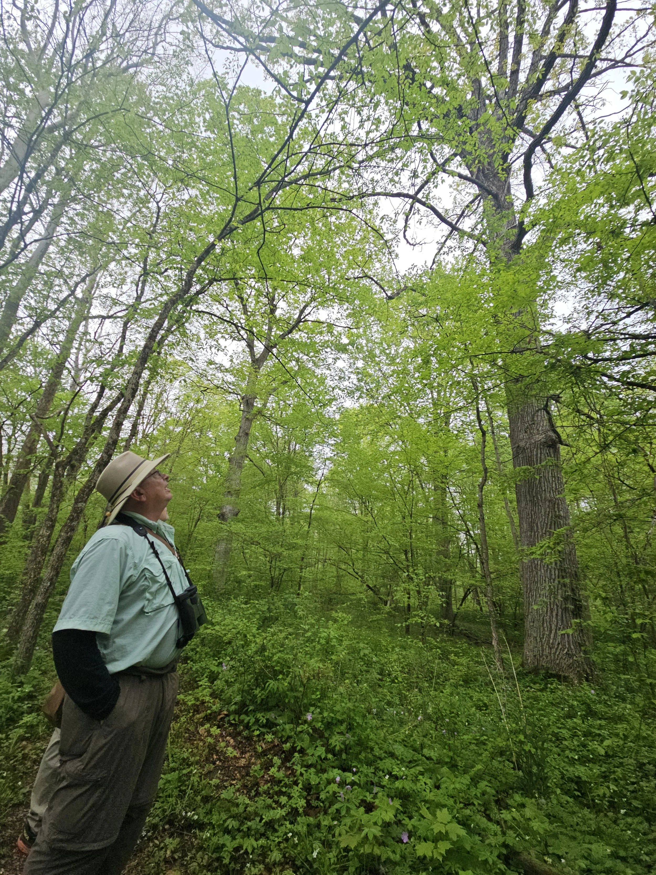 Dolan Nature Preserve, Kent County, MI