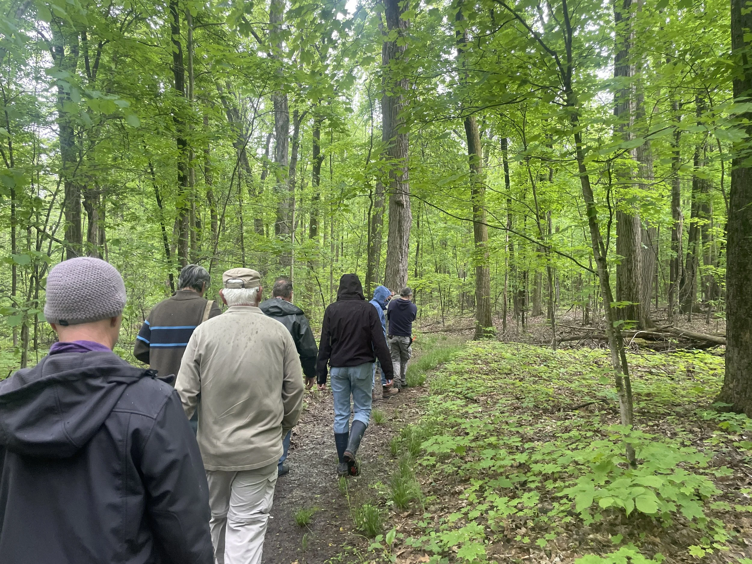 Bole Woods at Holden Arboretum, Lake County, OH