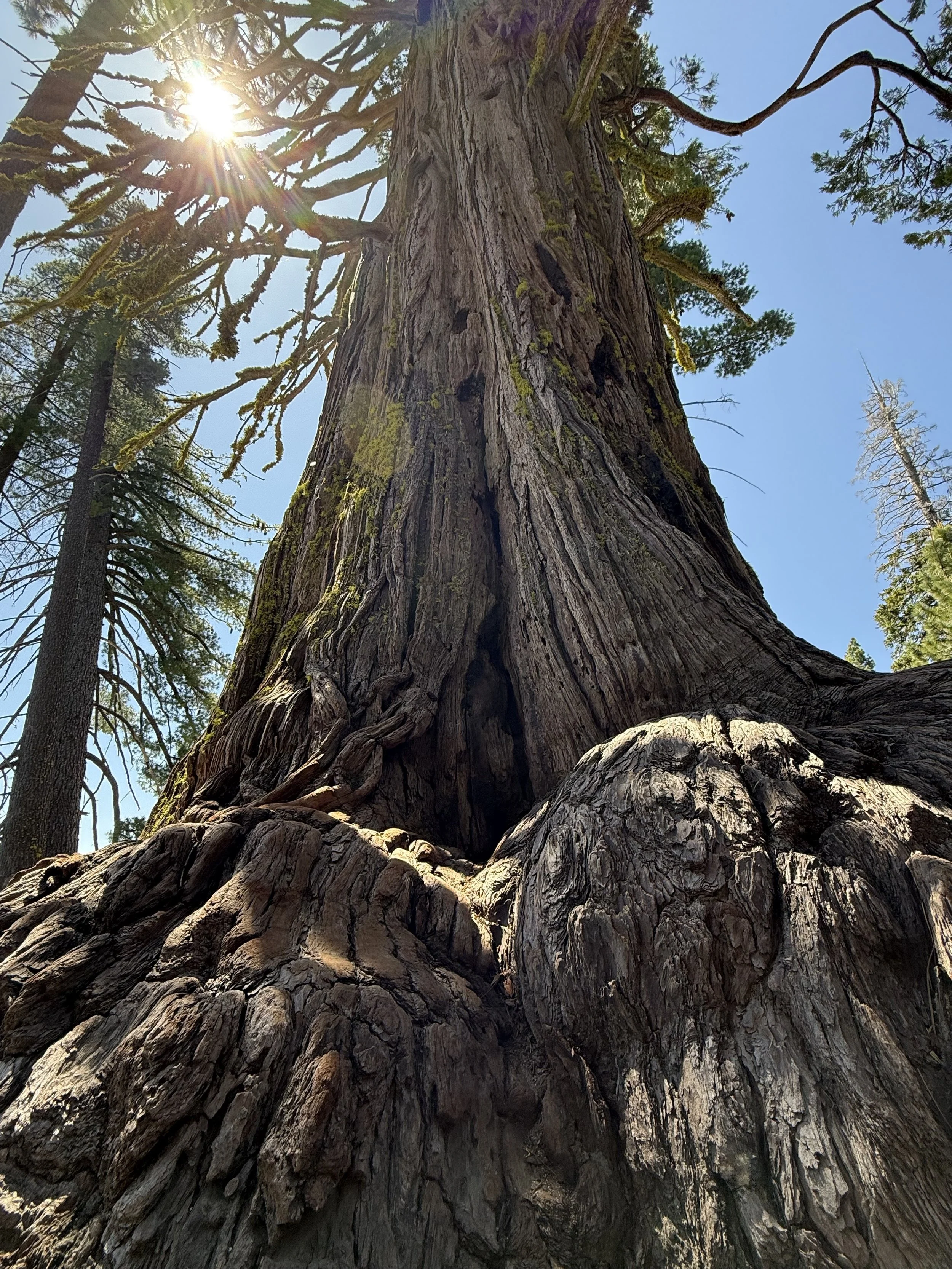 Sugar Pine Point State Park, El Dorado County, CA