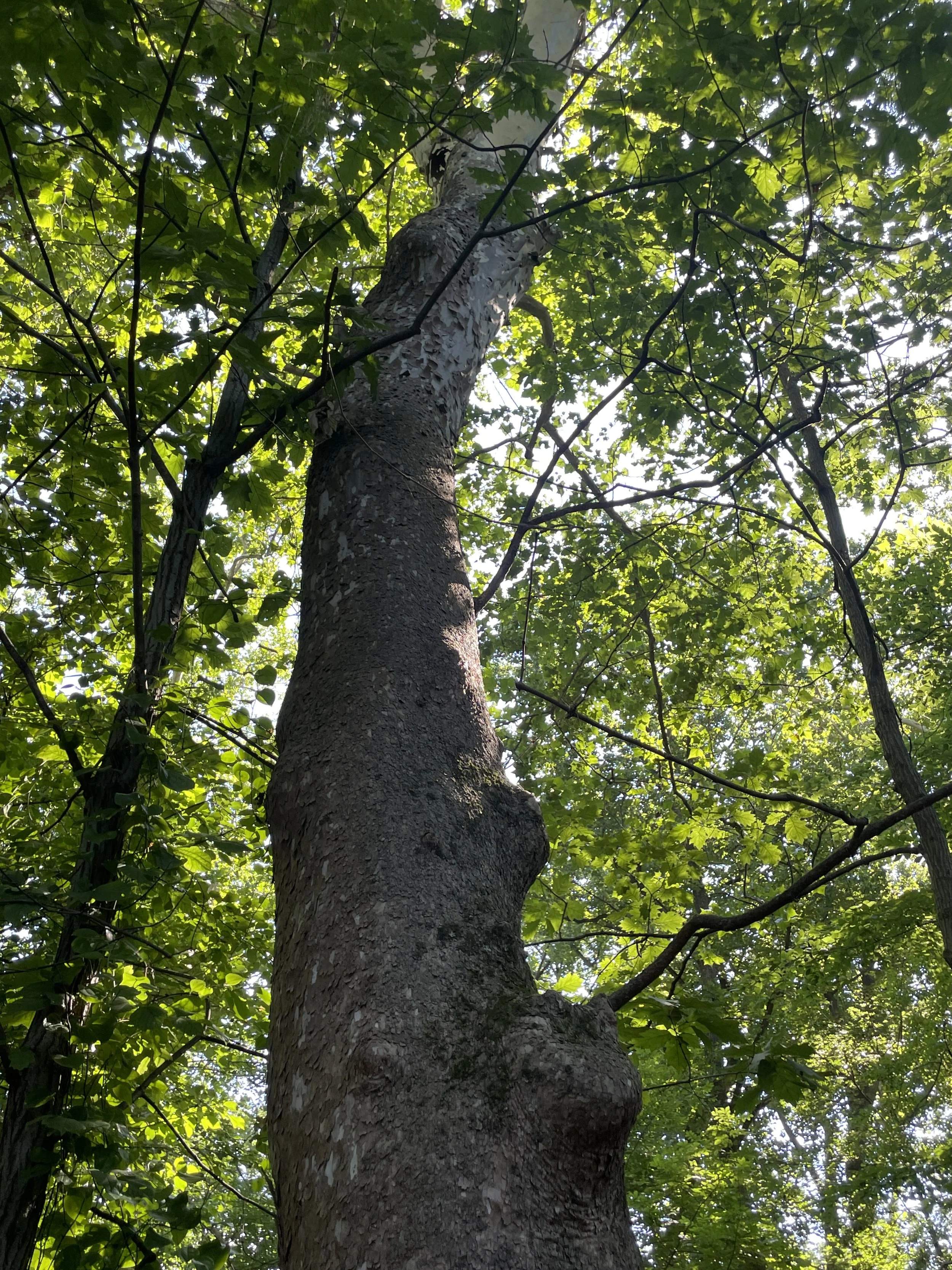 McKaig Environmental Education Center, Montgomery County, PA
