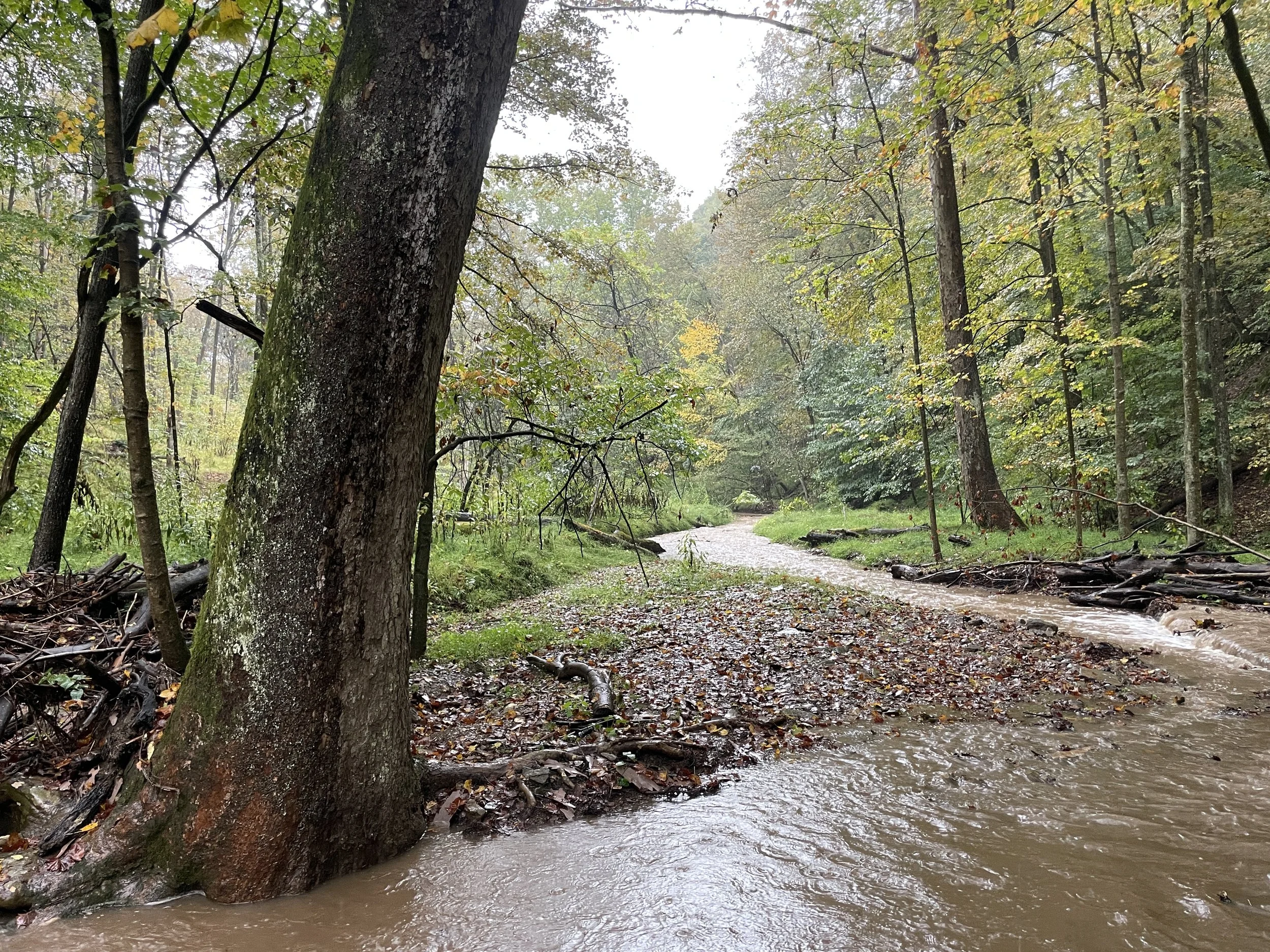 Ackermann Preserve, Westmoreland County,  PA
