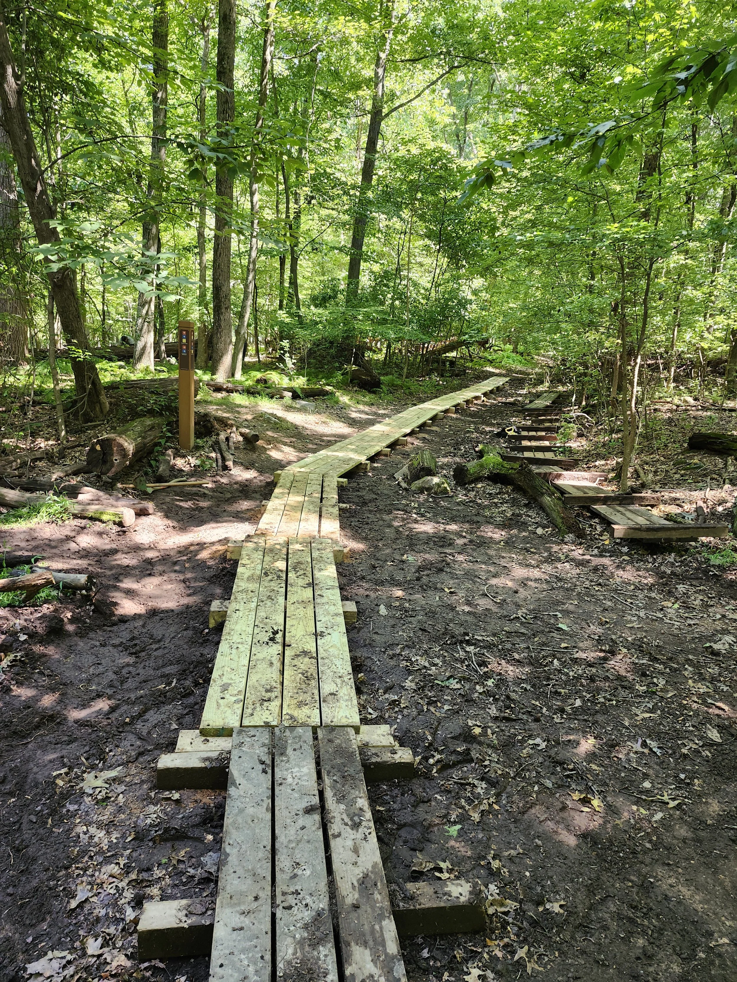 Forever Wild Forests of New York City: LaTourette Park - Staten Island Greenbelt Preserve, Richmond County, NY