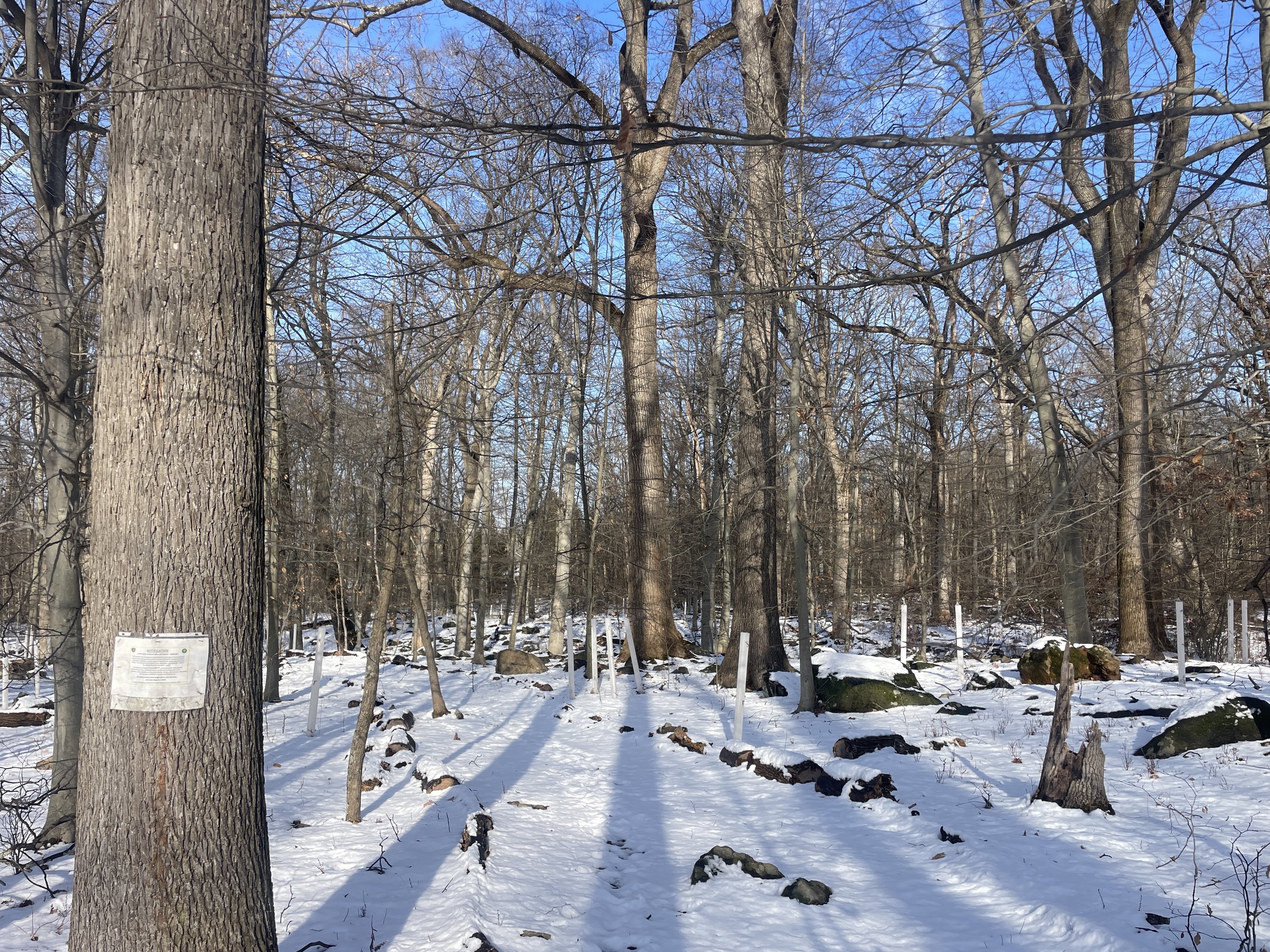 153 Acre Wood, Mercer County, NJ