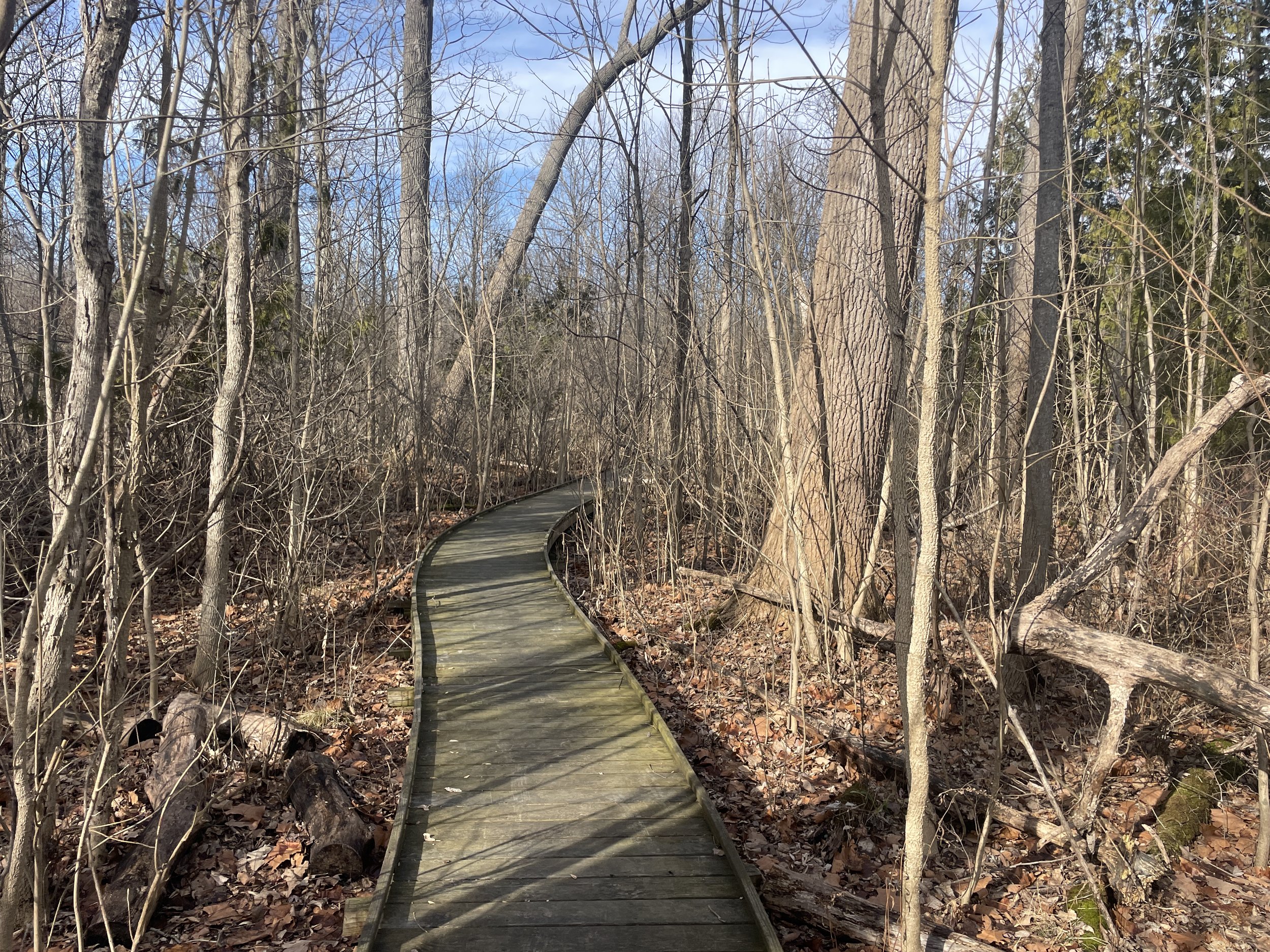 Cedar Bog Natural Area, Champaign County, OH