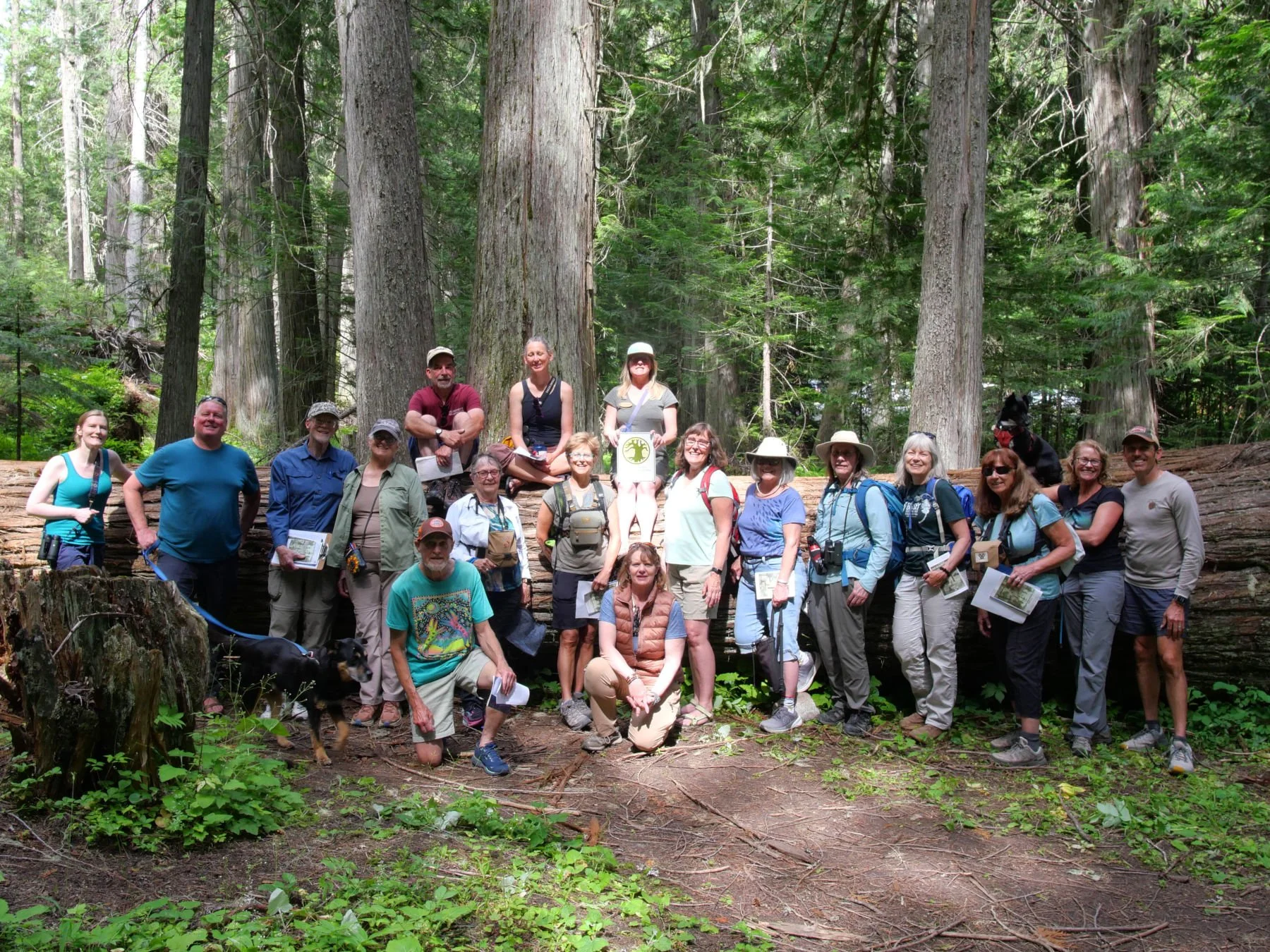 Devoto Grove Group V2 07-2026.JPG