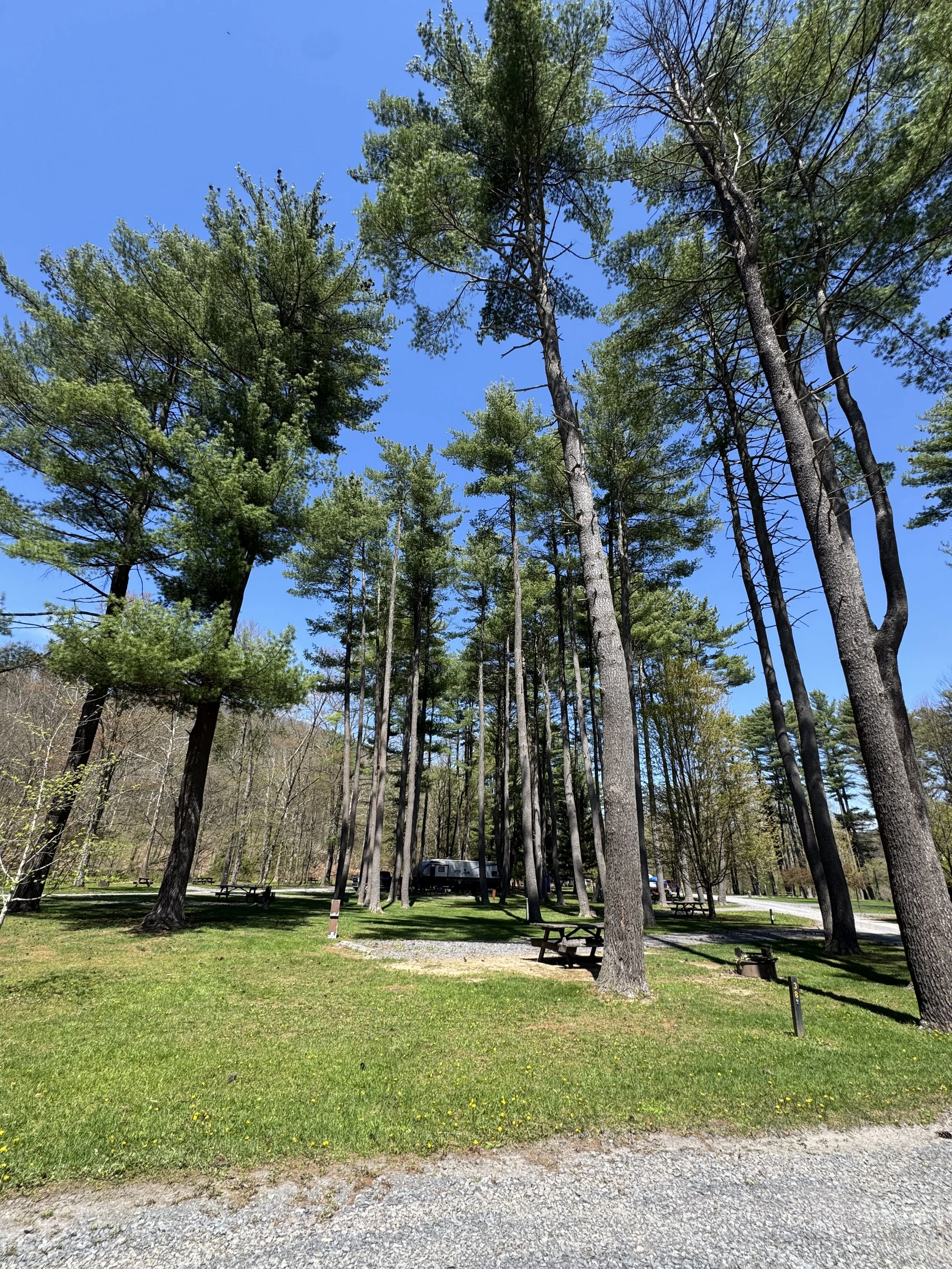 Photo courtesy of Jessica Tarr, PA DCNR