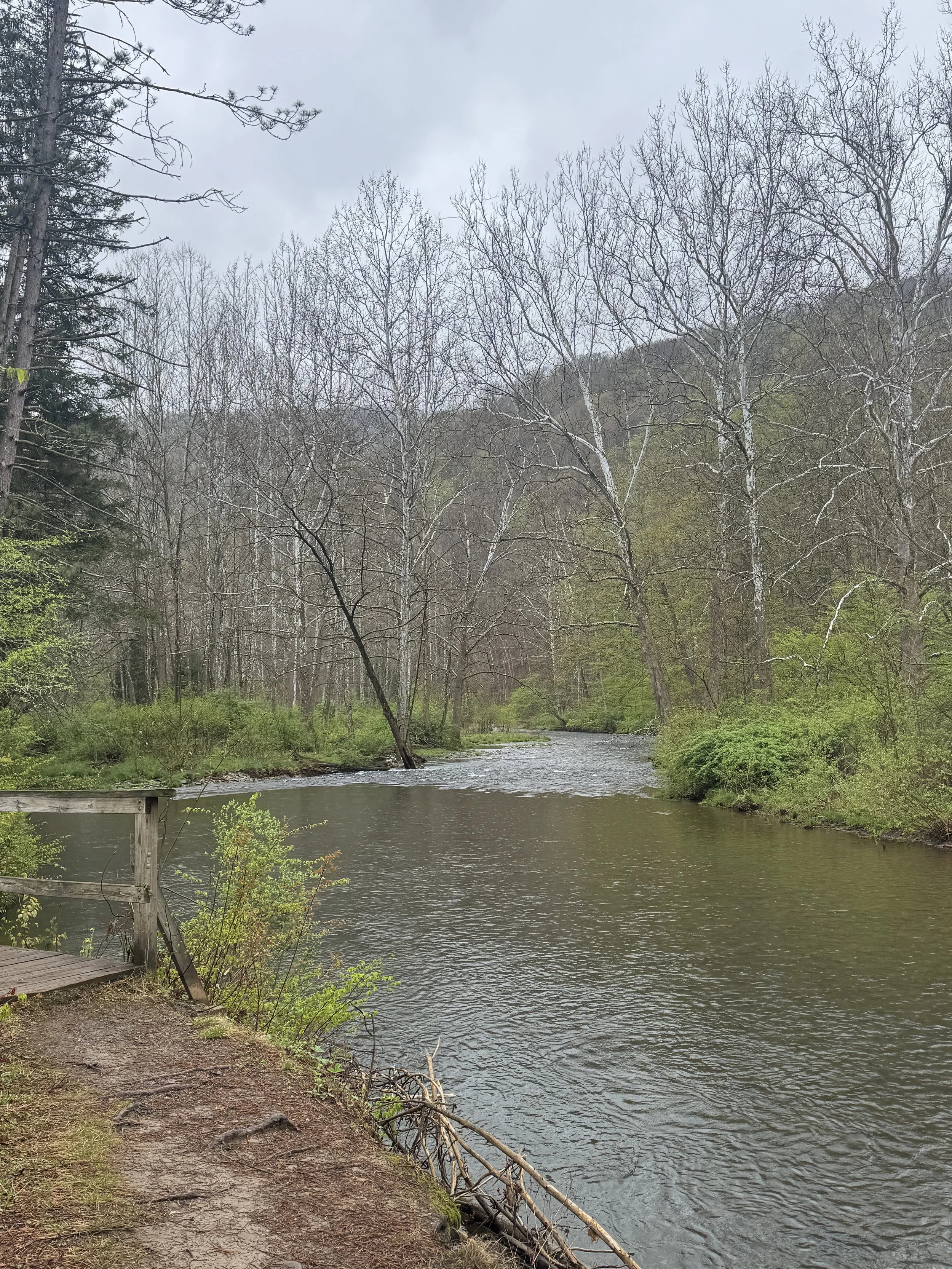 Photo courtesy of Jessica Tarr, PA DCNR