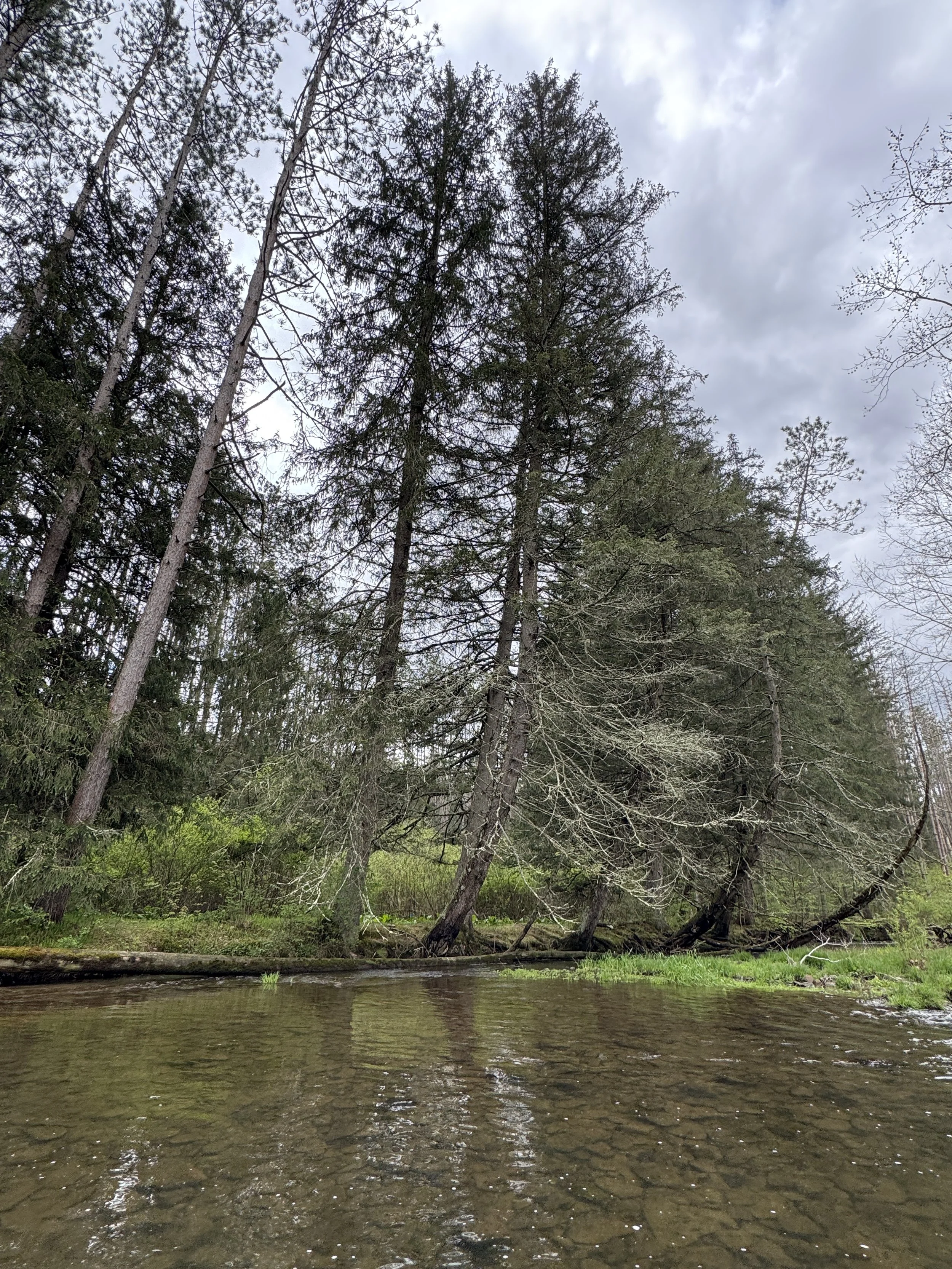 Photo courtesy of Jessica Tarr, PA DCNR