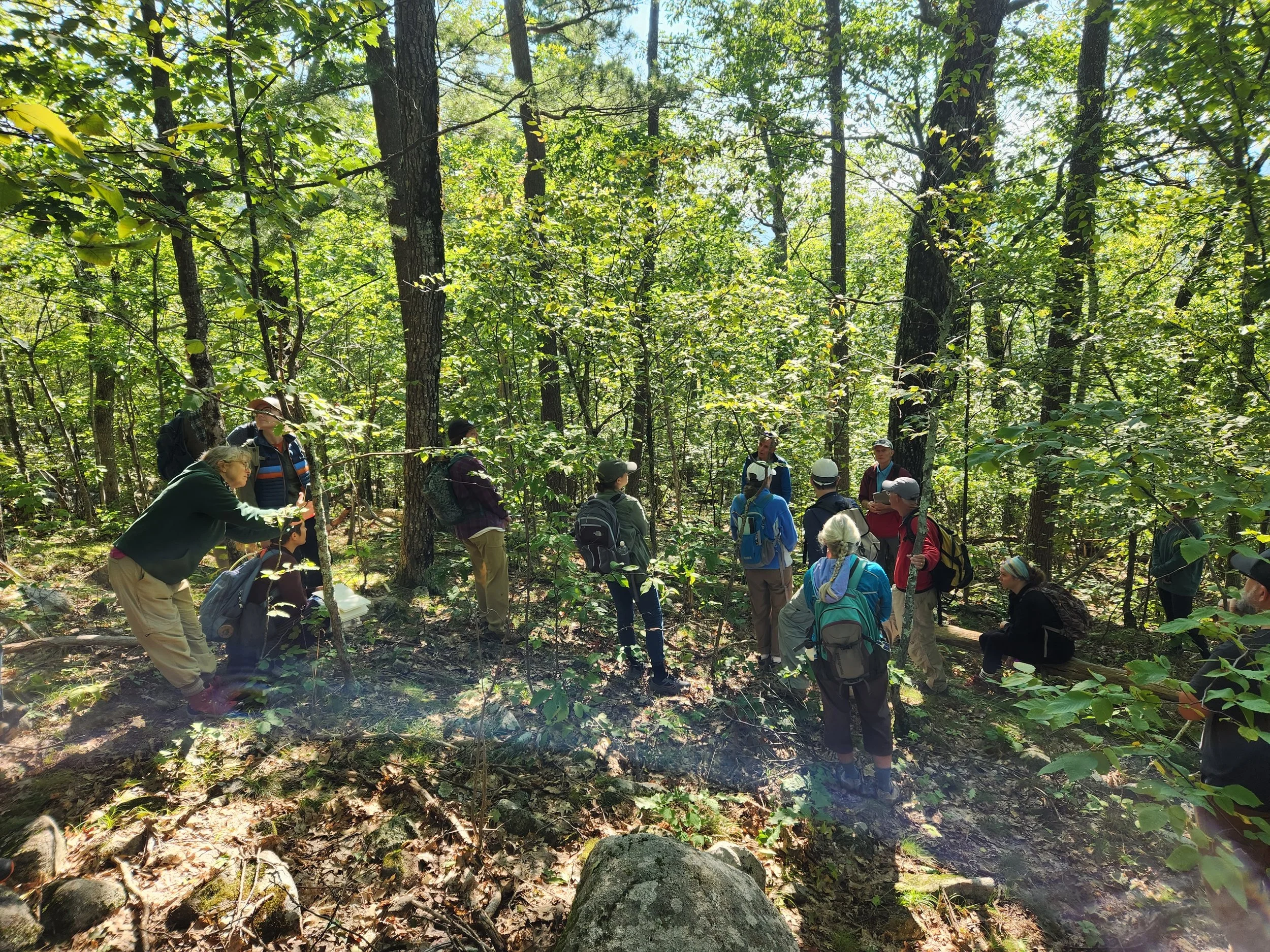 Photo courtesy of LRCT