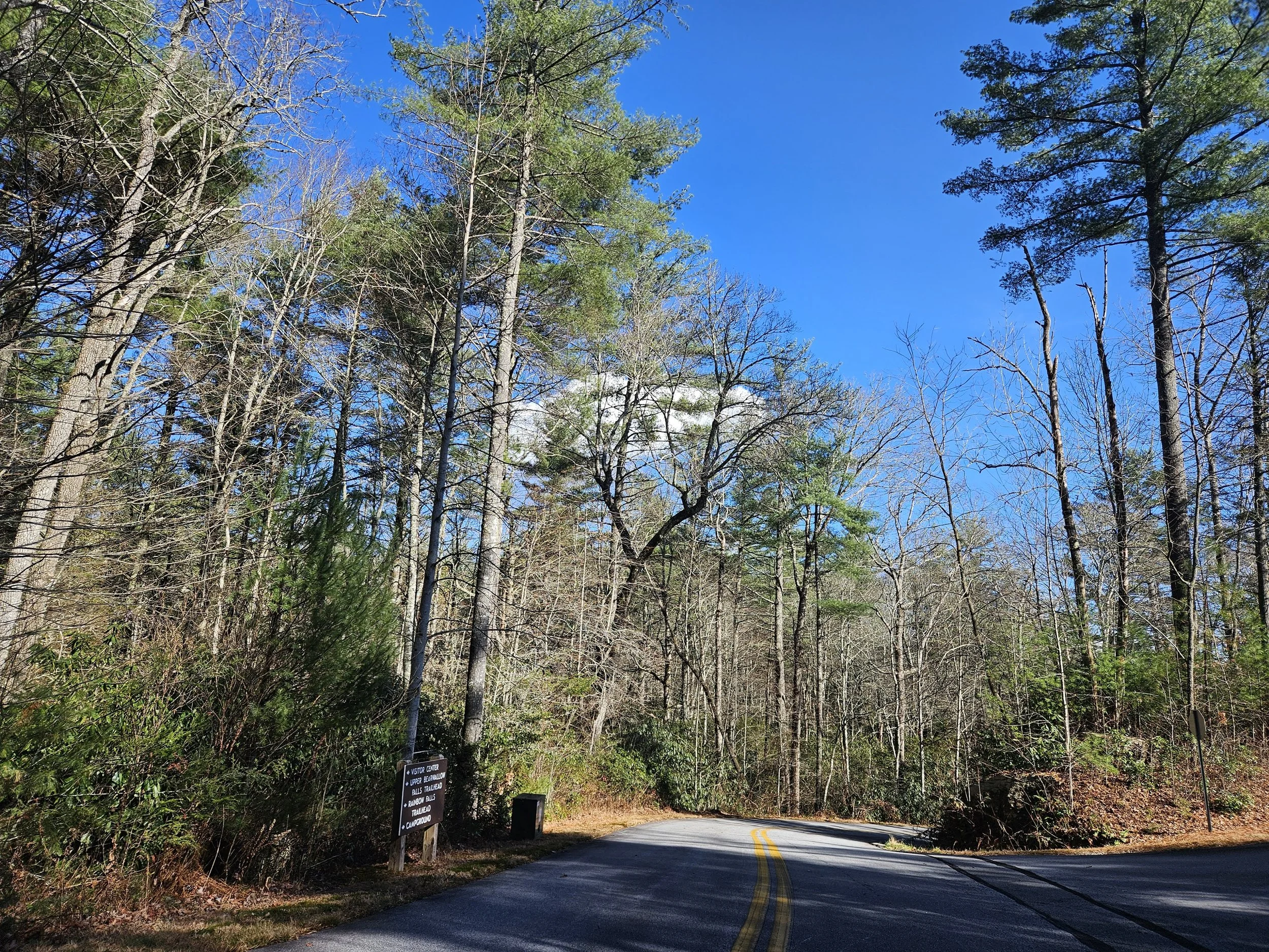 Photo courtesy of Elizabeth Whitley