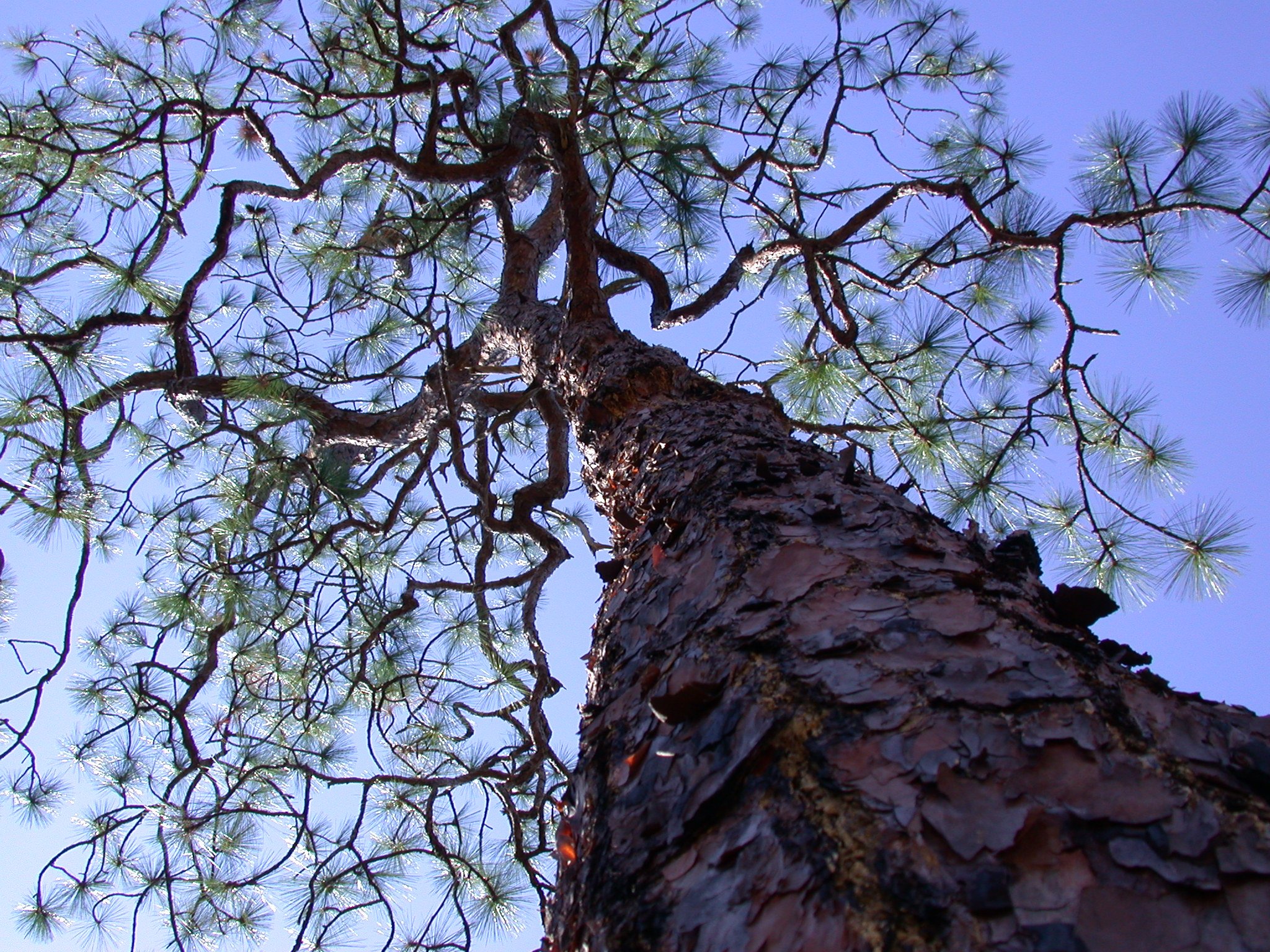 DSCN2328.JPG