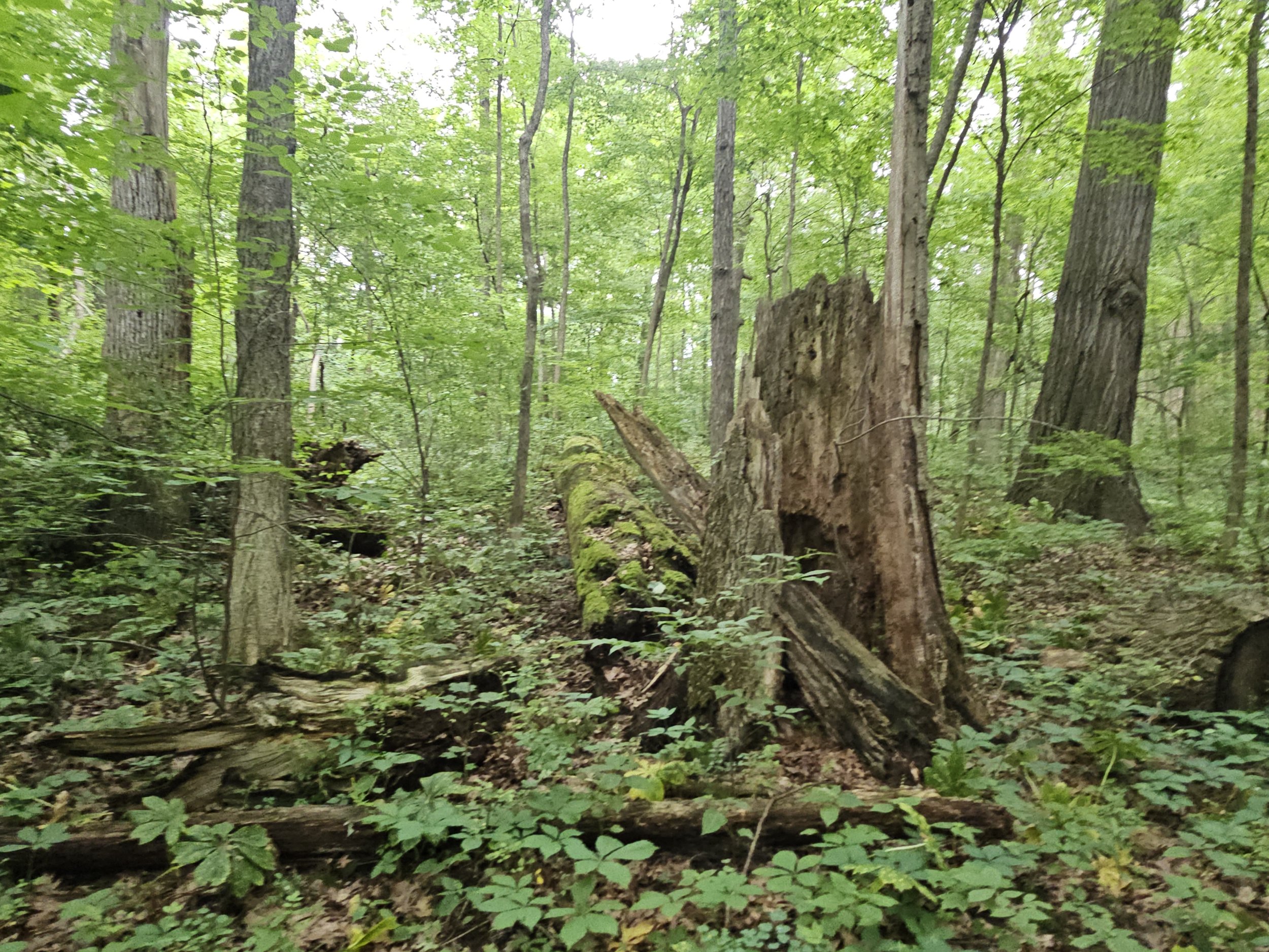 20240628_141851.jpg