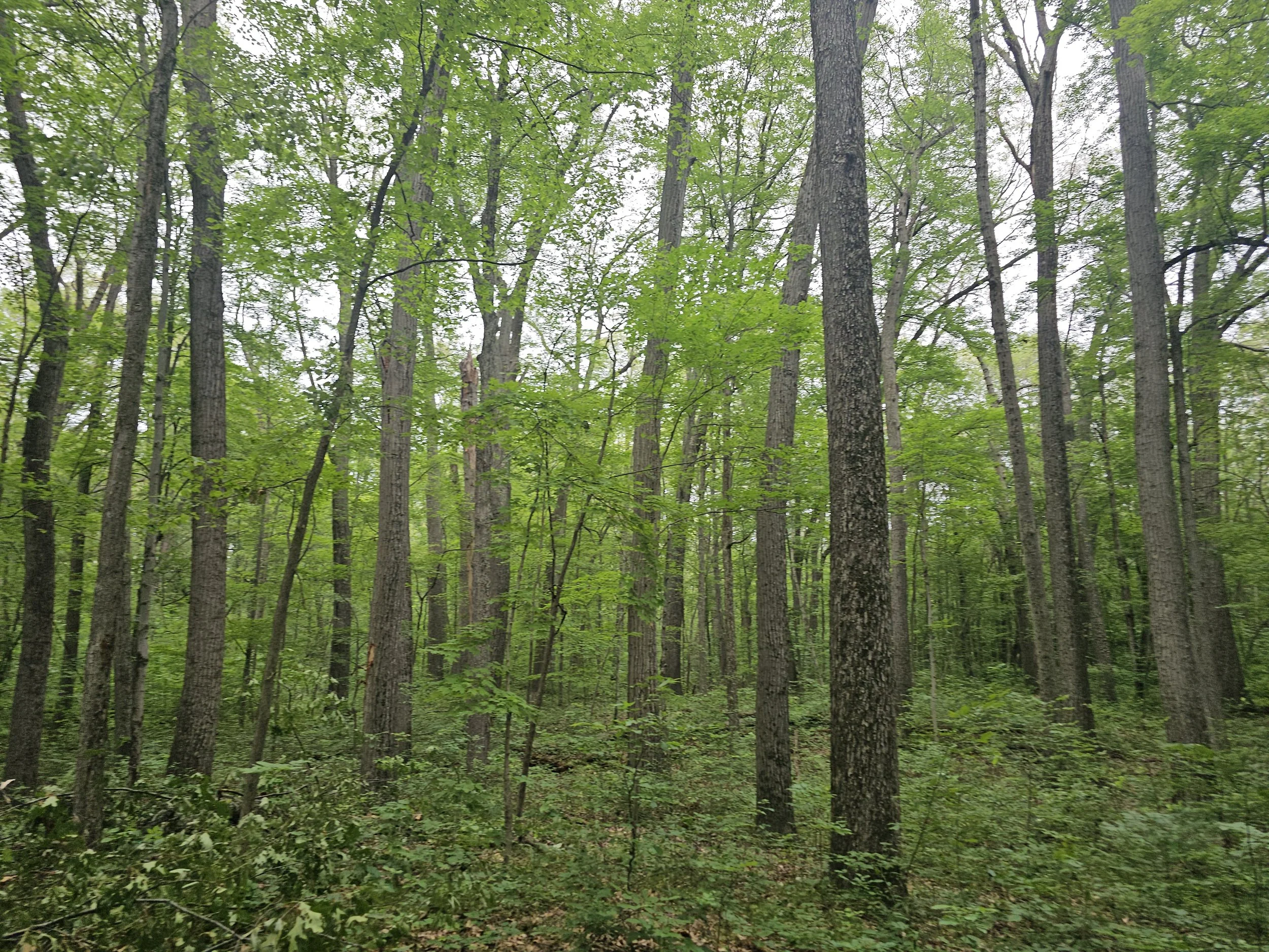 20240628_155812.jpg