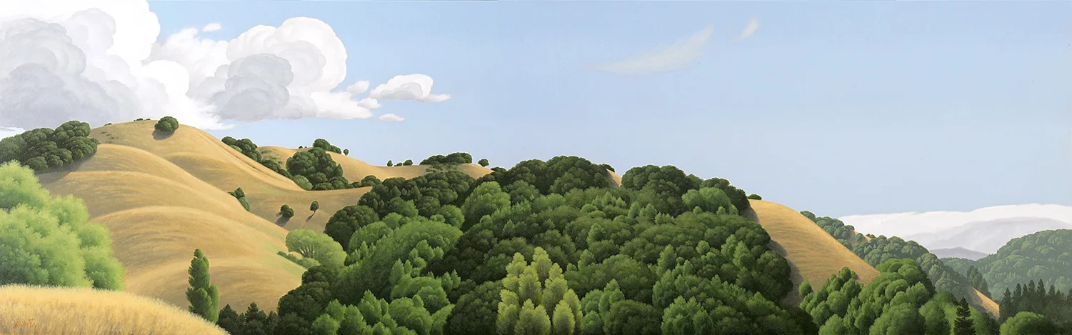 Ridgelines #4 28” x 89” Acrylic on canvas Private Collection